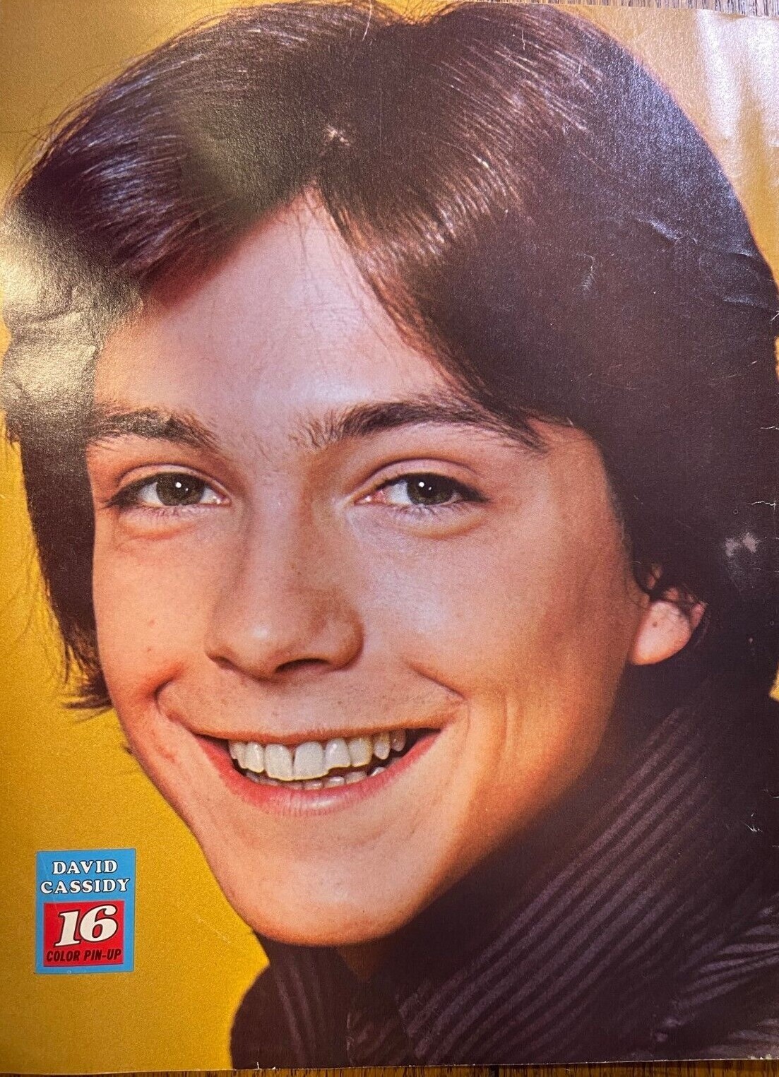 1971 Vintage Illustration David Cassidy Keith Partridge