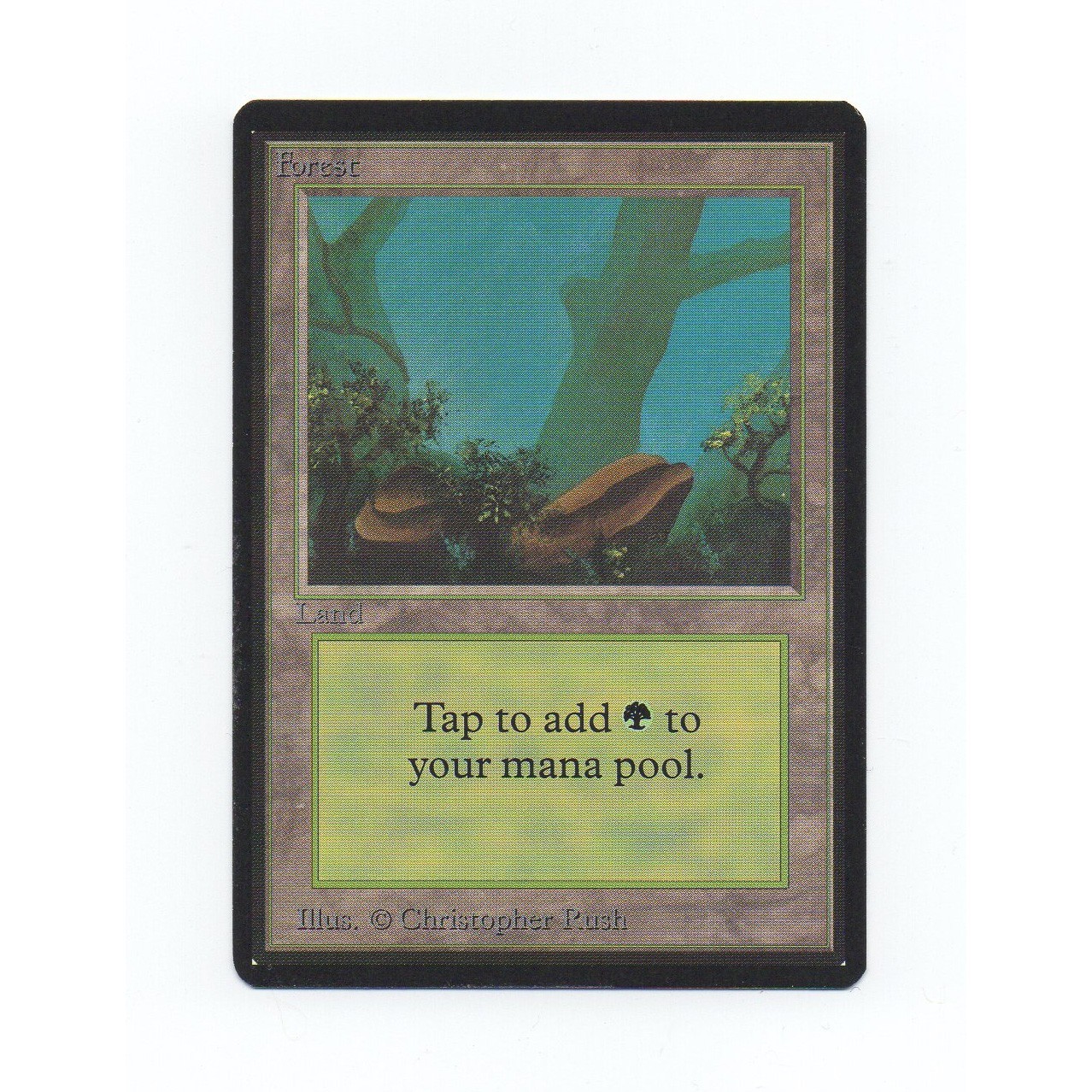 Magic: The Gathering Beta Edition Basic Land Individual Cards Magic: The Gathering Beta Edition Basic Land Individual Cards