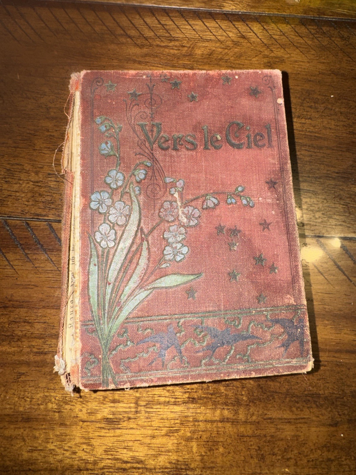 Antique c1900 Vers le Ciel French Devotional 12 Chromolithographs Geneva