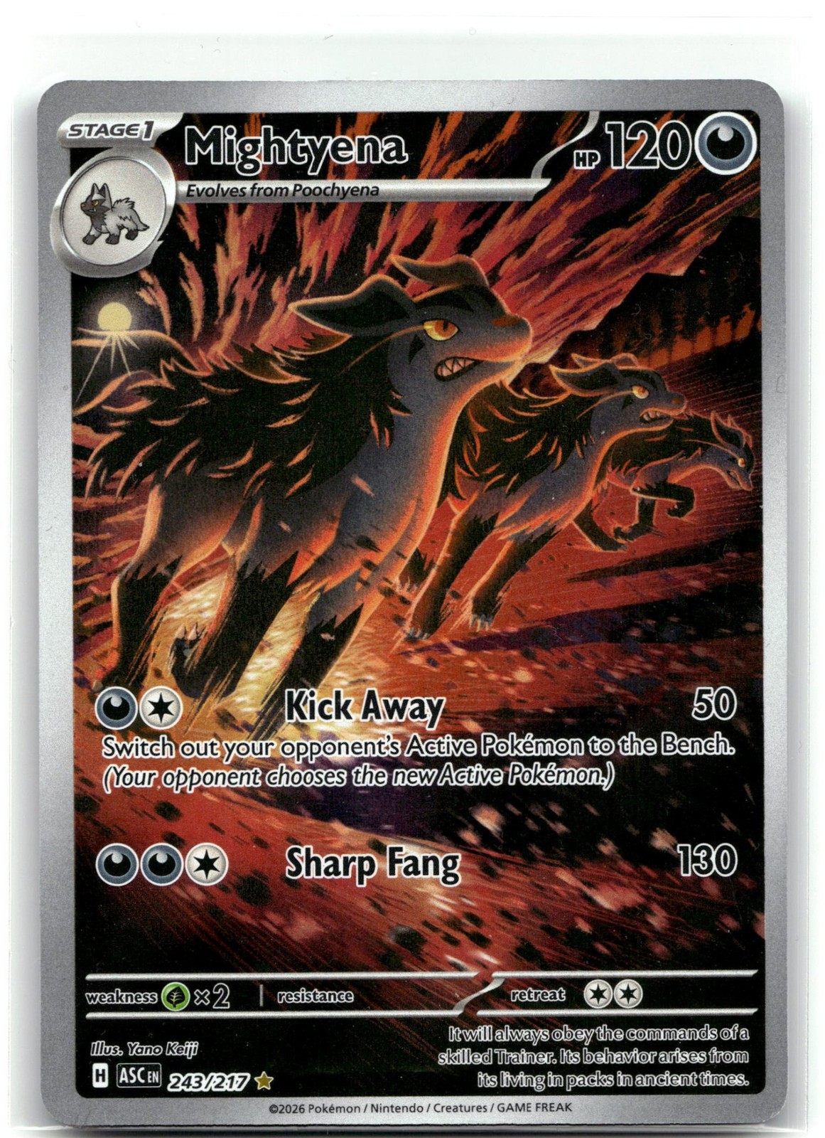 Mightyena Holofoil [ASC - 243/217]