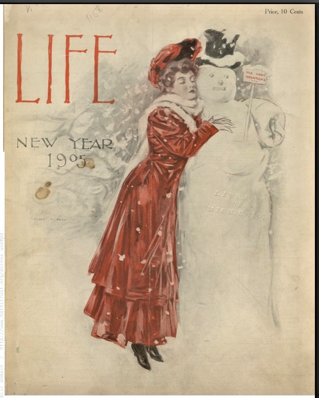 LIFE MAGAZINE 1900'S 525 Unique Issues In PDF Format On USB Flash Drive