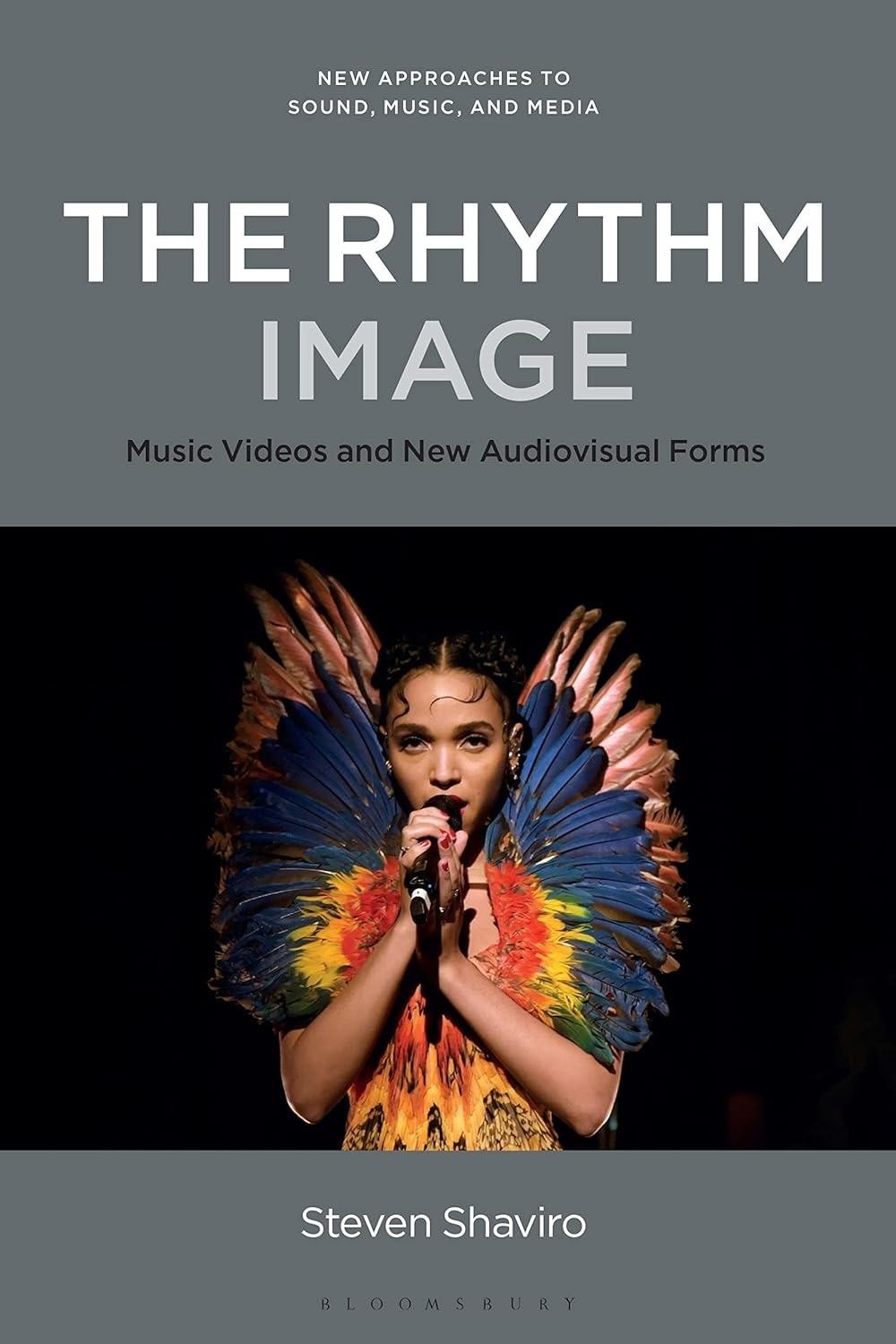 The Rhythm Image Steven Shaviro Music Videos Audiovisual Theory Hardcover Book
