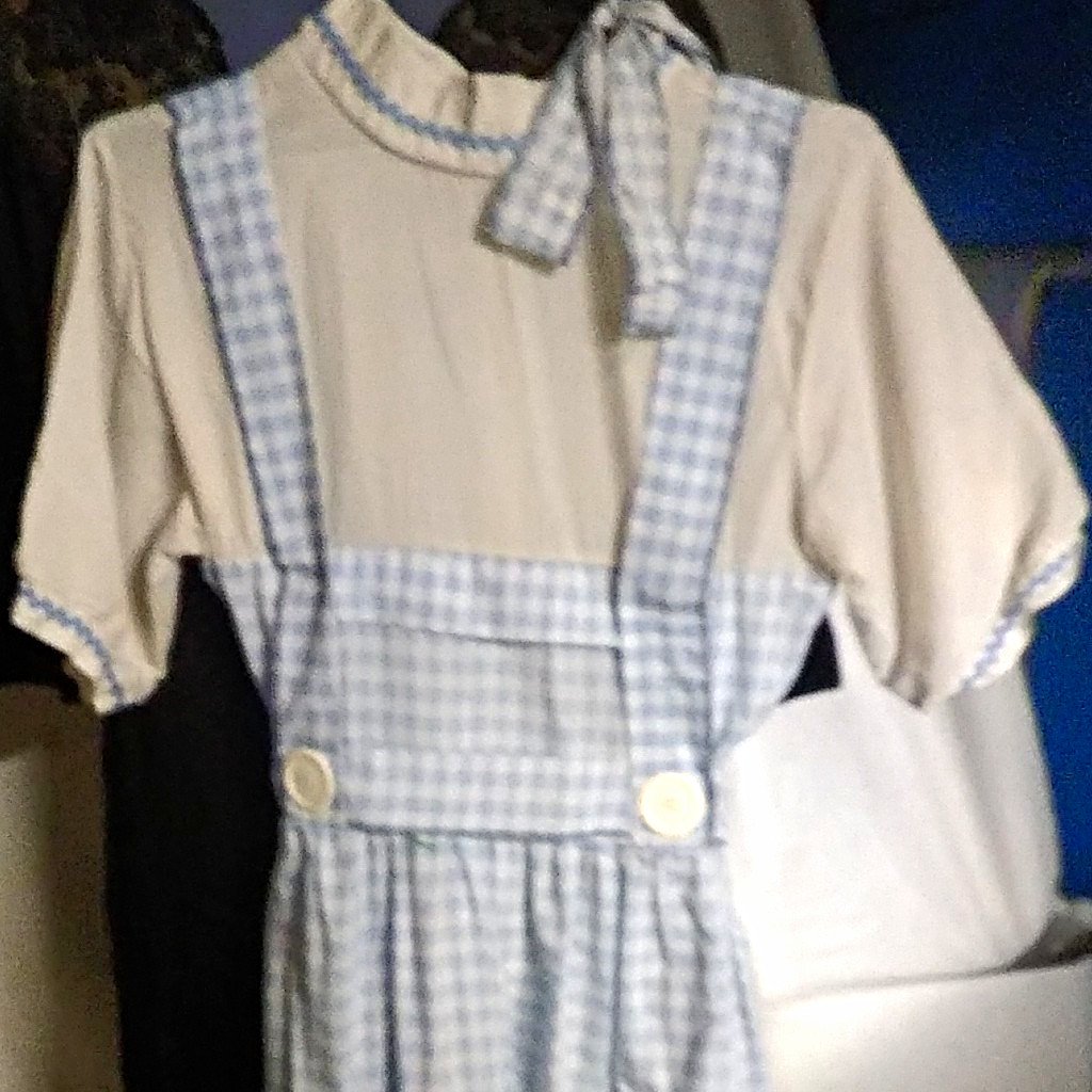Women\'s Vintage1970s Dorothy Wizard Of Oz Dress Size Lg Women\'s Vintage1970s Dorothy Wizard Of Oz Dress Size Lg