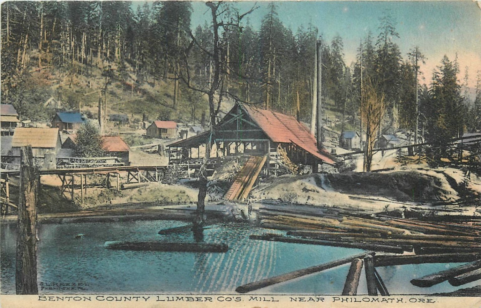 1911 Benton County Lumber Co\'s Mill Philomath Oregon Postcard Log Pond hand tint