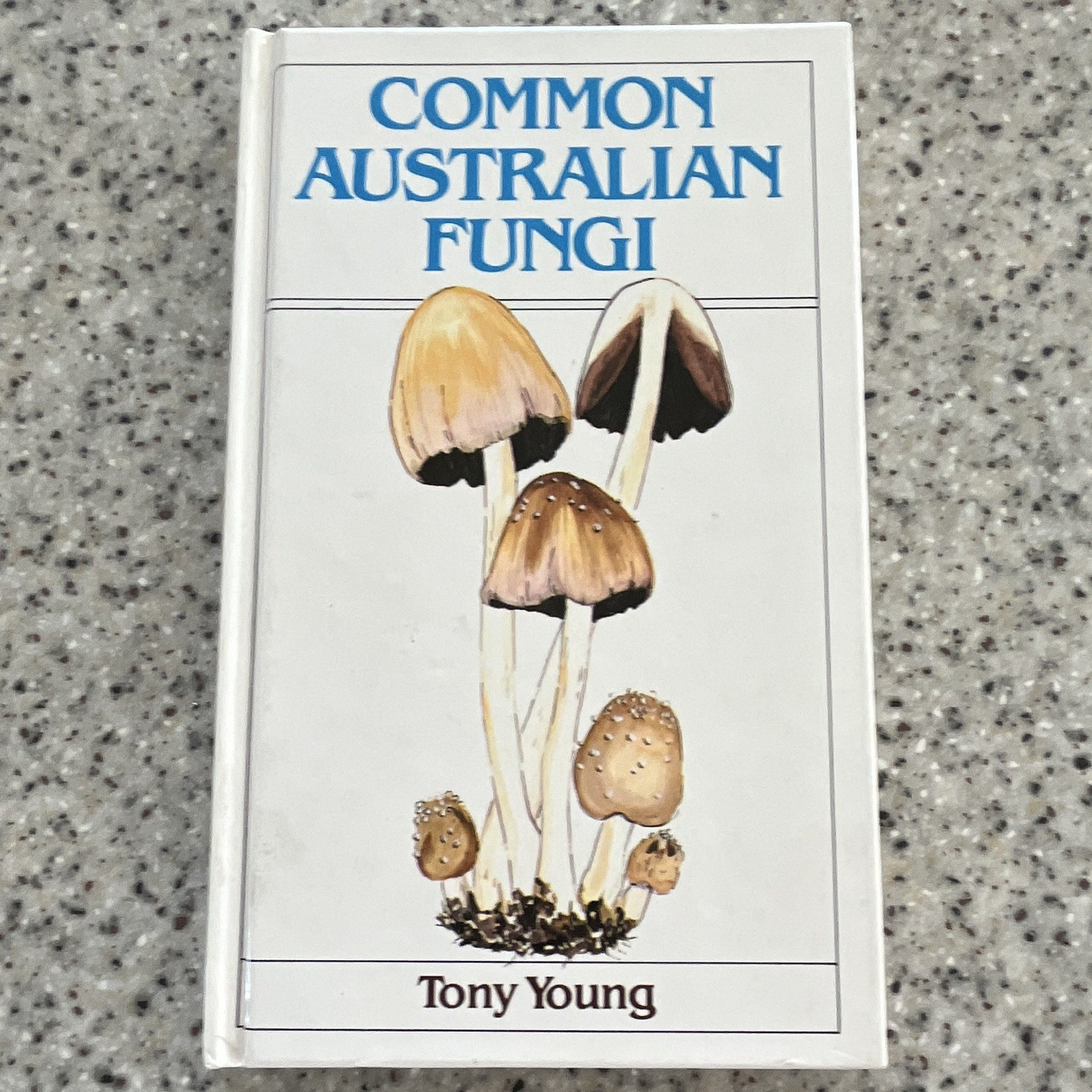 Tony Young Common Australian Fungi Hardcover Illustrated 1982 Very Good Mycology Tony Young Common Australian Fungi Hardcover Illustrated 1982 Very Good Mycology