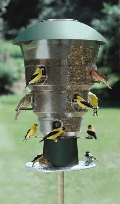 Wild Bill\'s 12 Port Squirrel Proof Bird Feeder Outdoor Wild Bird Feeding Station