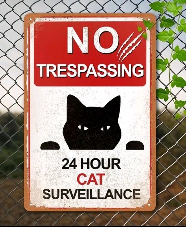 Funny No Trespassing 24 Hour Cat Surveillance Metal Sign Yard Wall Decor