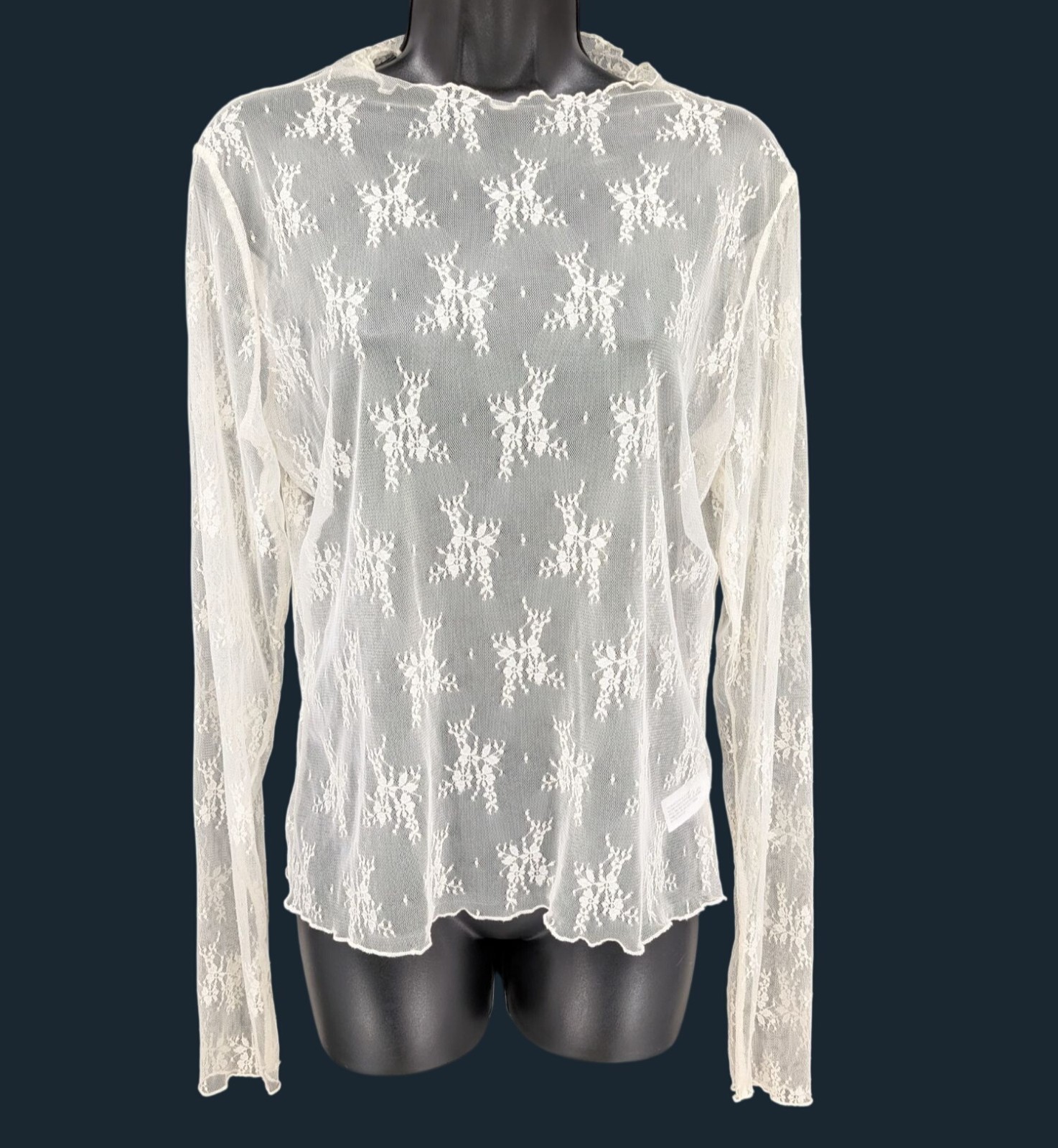 Floral Lacer Sheer Long Sleeve Top Mesh Coquette Ballet Romantic Overlay Large