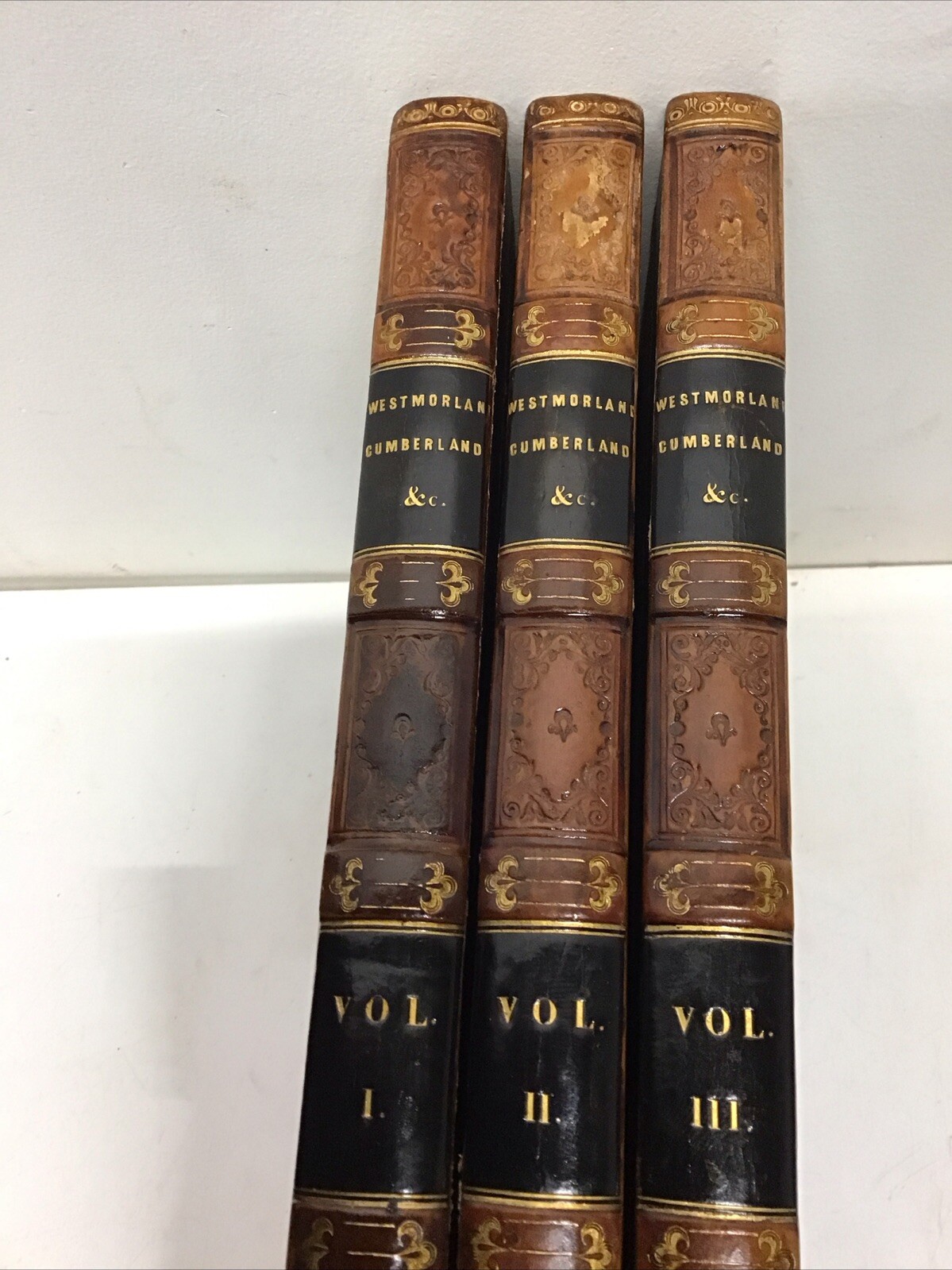 Antique 1832 1stEd 3-Vol Westmorland Cumberland Durham Northumberland 213 Plates