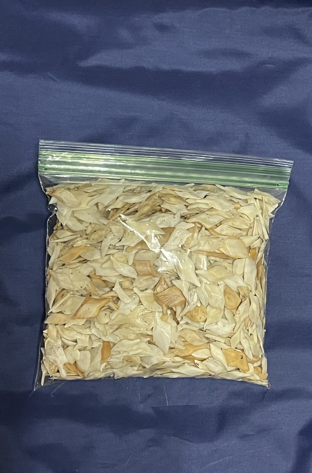 Louisiana Alligator Gar Scales 1 Pound Lot