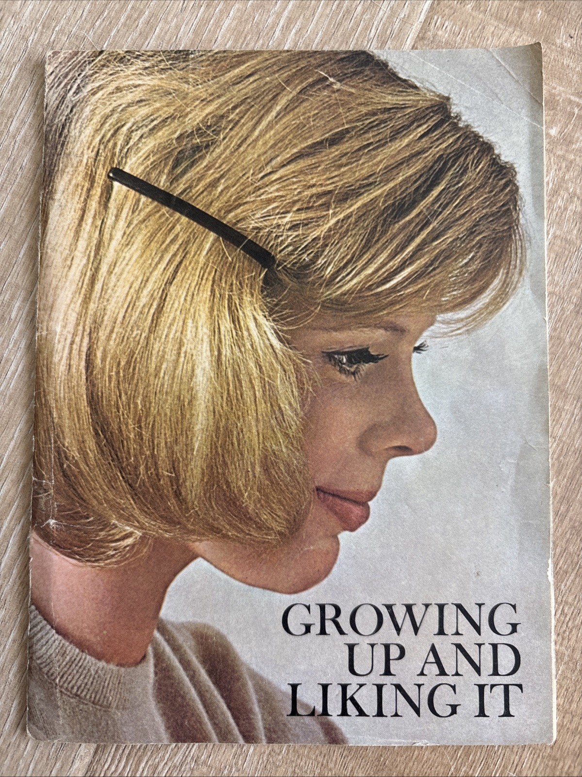MODESS Growing Up And Liking It 1963 Vintage PPC Booklet Feminine Hygiene Advert