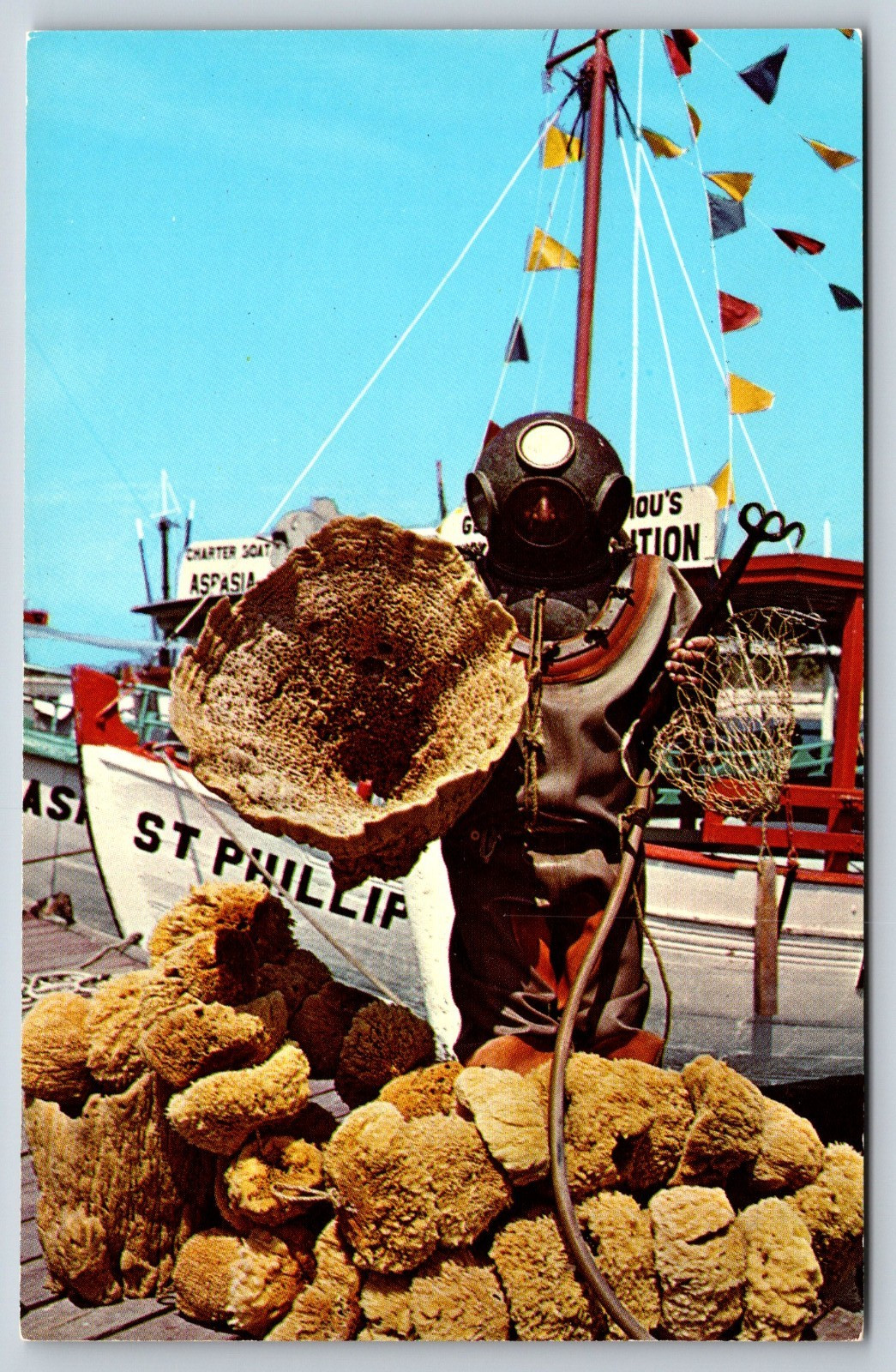 Spong Diver, Tarpon Springs, Florida, Vintage Postcard