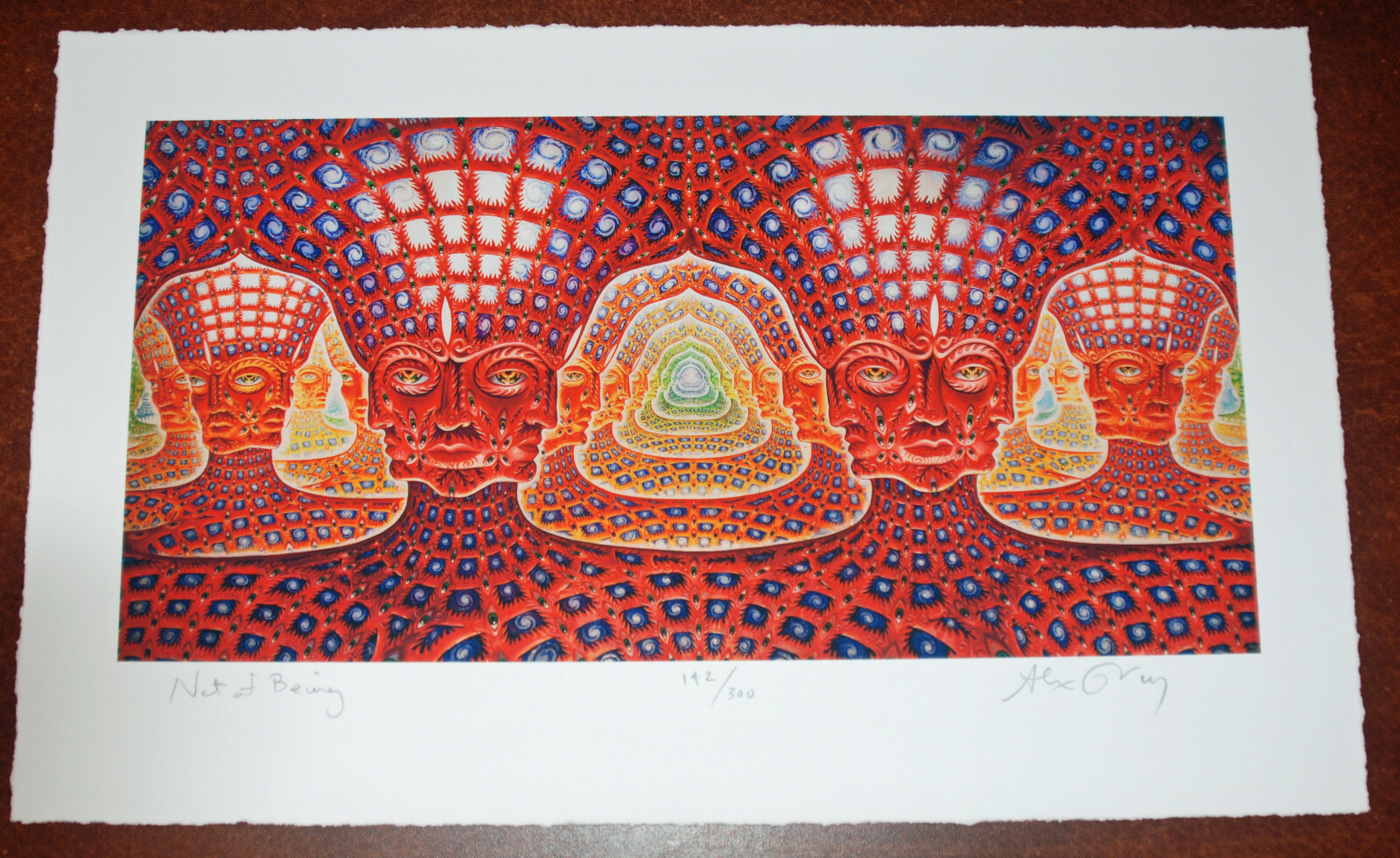 Alex Grey Net of Being Art Print S/# 300 Tool Lateralus Backdrop Poster Art