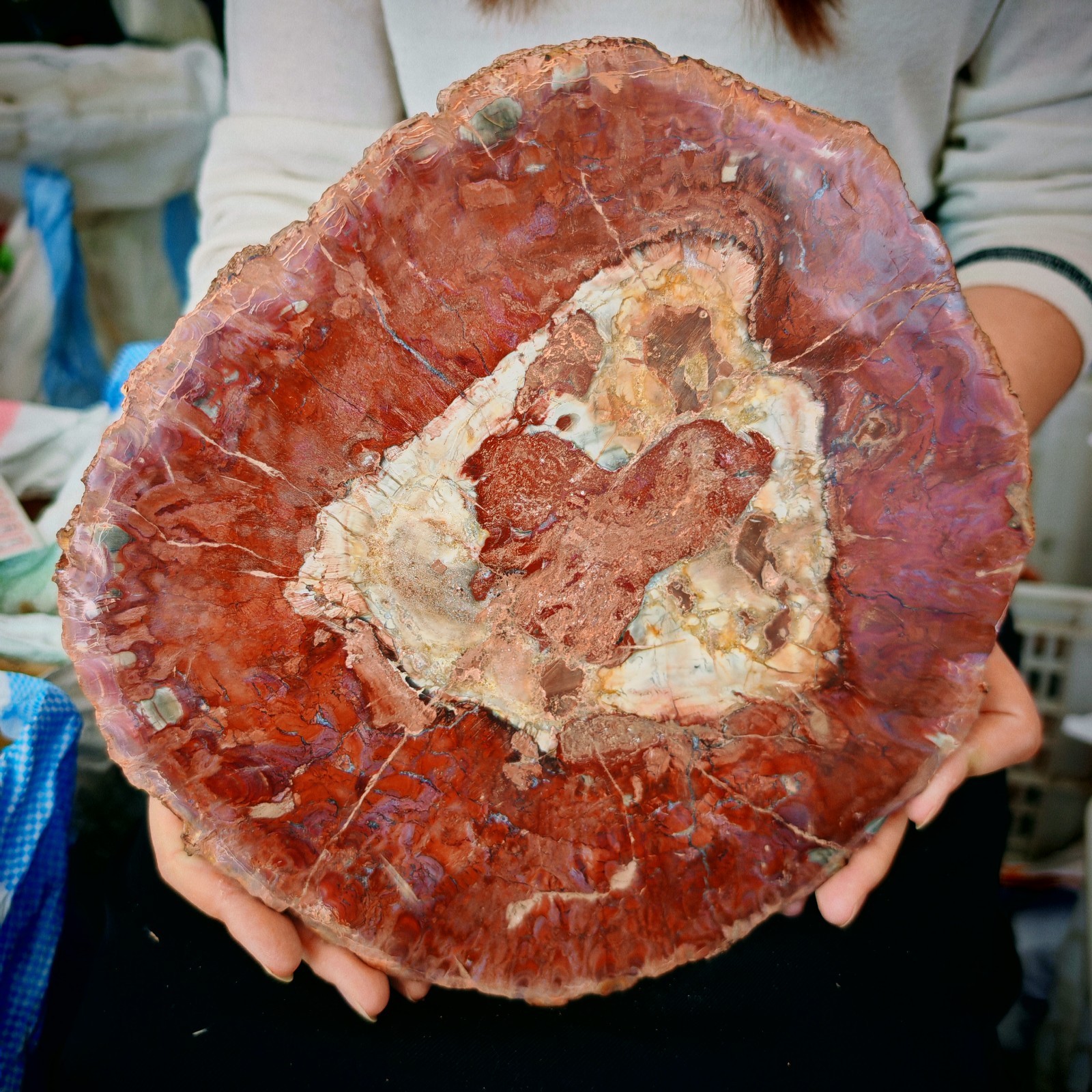 7.04LB Natural Jurassic and Cretaceous wood fossil crystal slice specimen 3.2kg 7.04LB Natural Jurassic and Cretaceous wood fossil crystal slice specimen 3.2kg