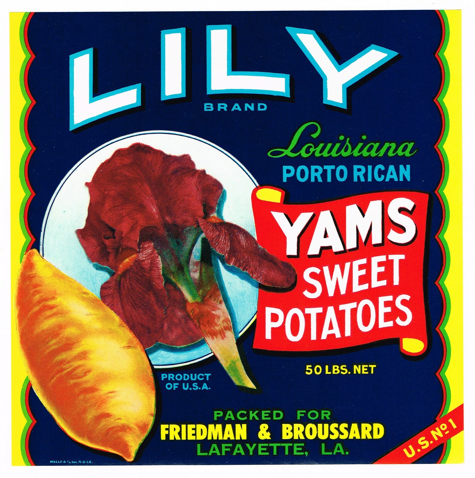 C1950S ORIGINAL YAM CRATE LABEL LILY FLOWER LAFAYETTE LOUISIANA NOS ADVERTISING