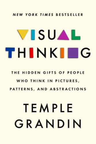 Visual Thinking: The Hidden Gifts of People Who Think in Pictures, Patter - GOOD