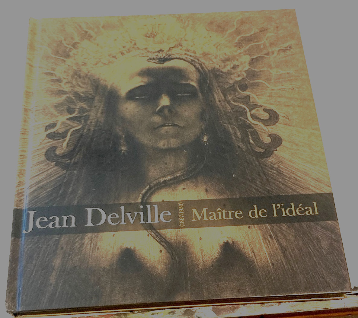 JEAN DELVILLE 1867-1953 MAINTRE DE L'IDEAL / 1st Edition 2014