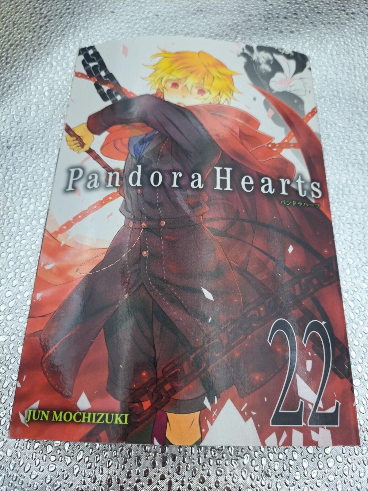 PandoraHearts, Vol. 22 by Jun Mochizuki (English) Paperback Book PandoraHearts, Vol. 22 by Jun Mochizuki (English) Paperback Book