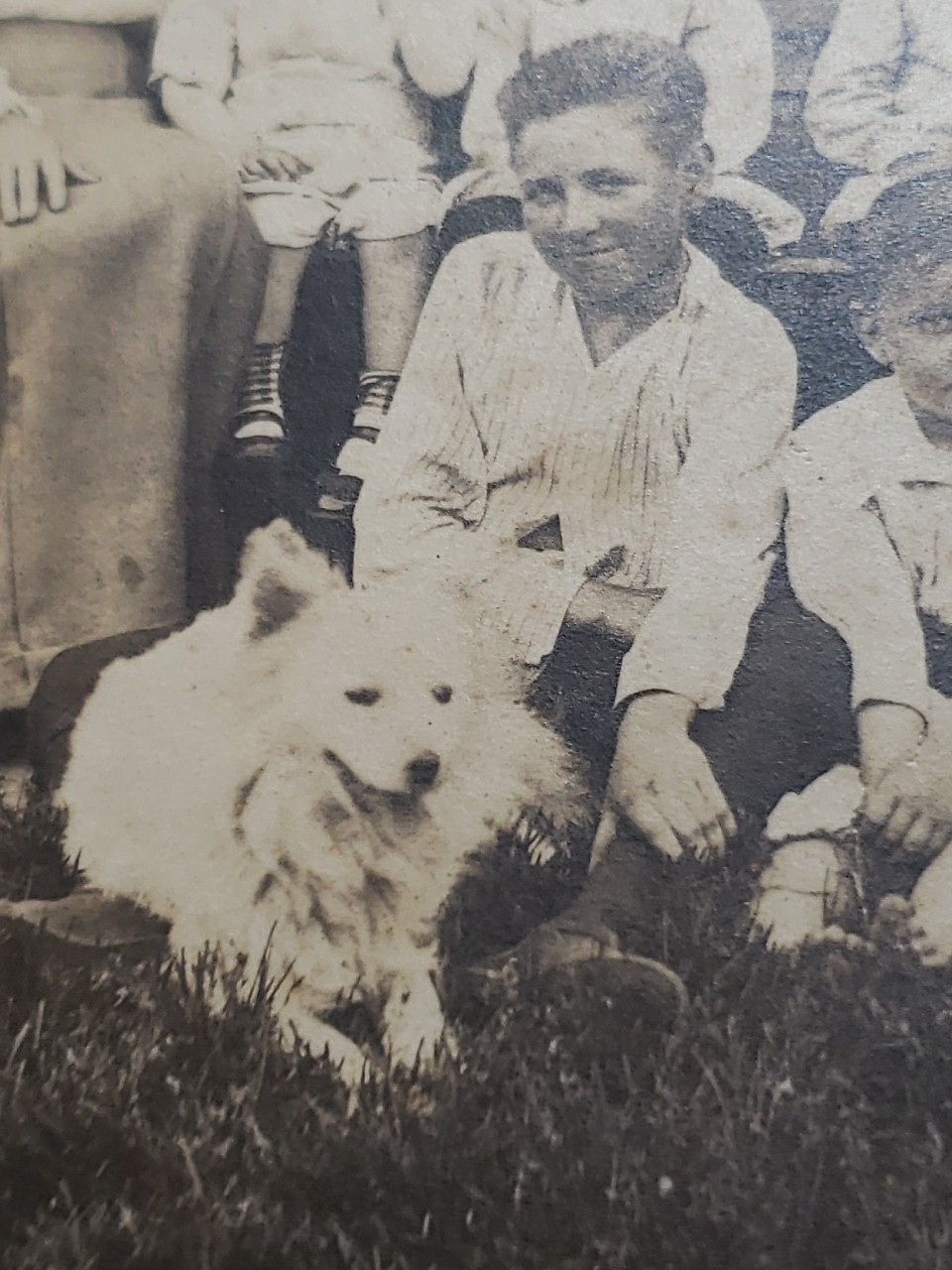 Antique 1910s Class Photo Pack Cardboard Mount Group Portrait Big White Dog
