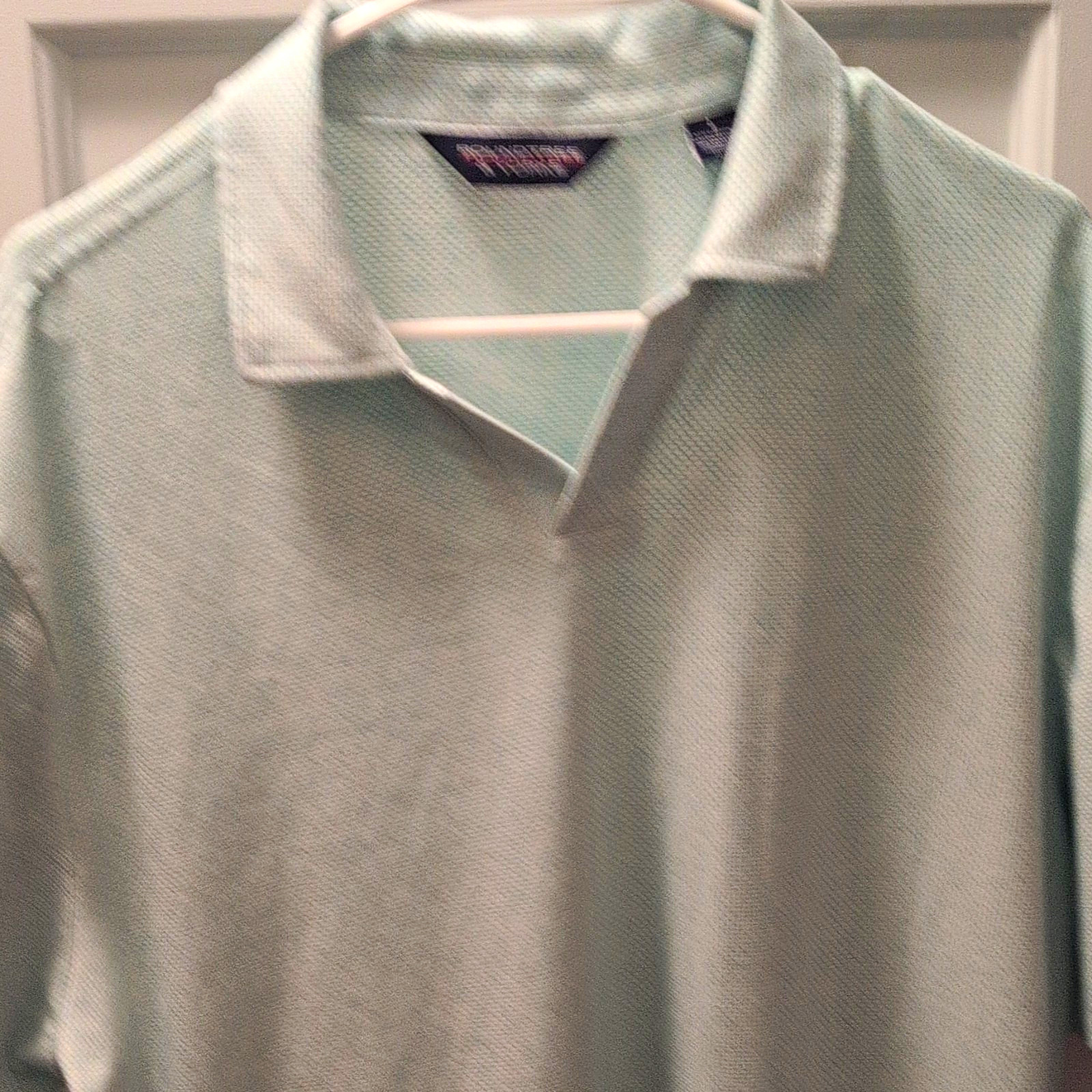 Roundtree & Yorke Men\'s Short Sleeve Johnny Collar Light Mint L
