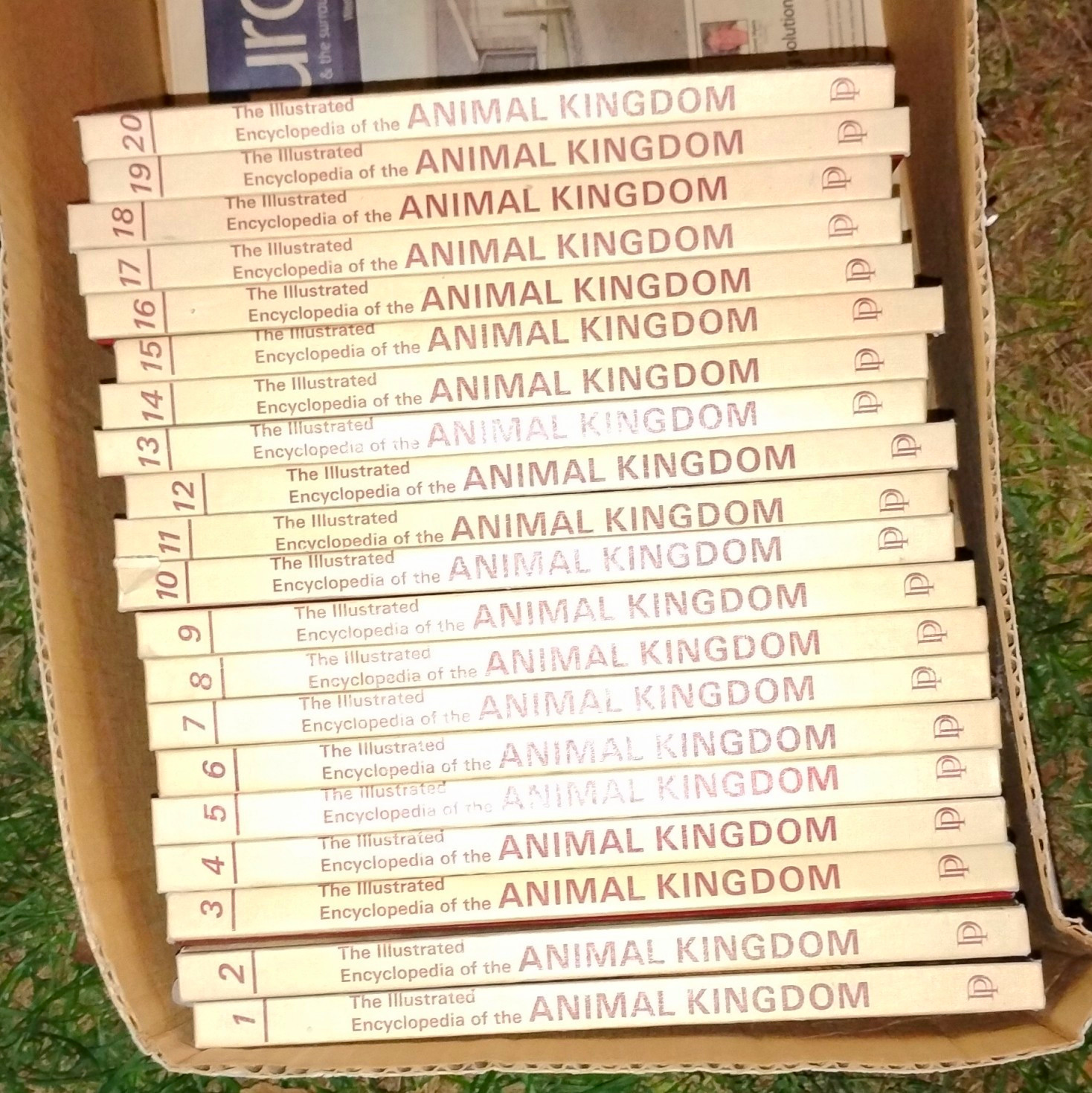 Danbury Press Illustrated Encyclopedia of the Animal Kingdom HC Set Of 20