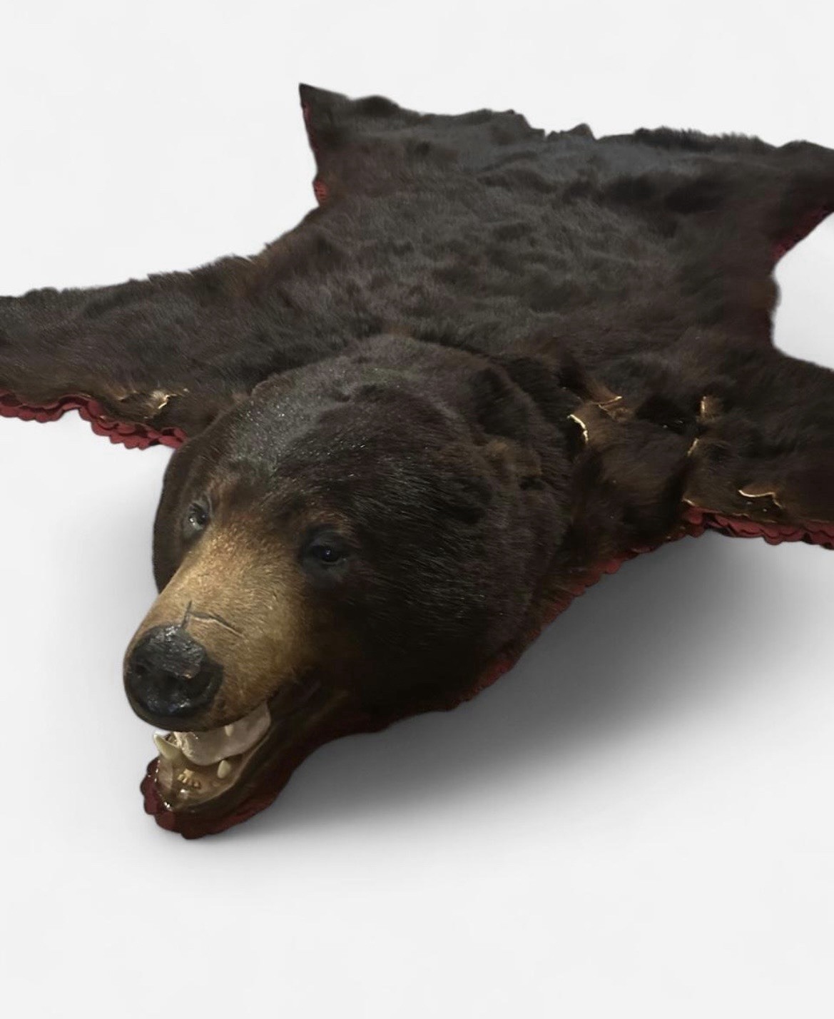 Real Vintage Bear Rug Real Vintage Bear Rug