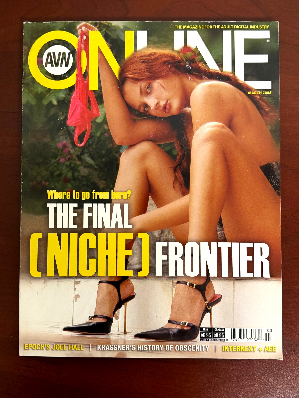 AVN Online Magazine March 2008 THE FINAL NICHE FRONTIER