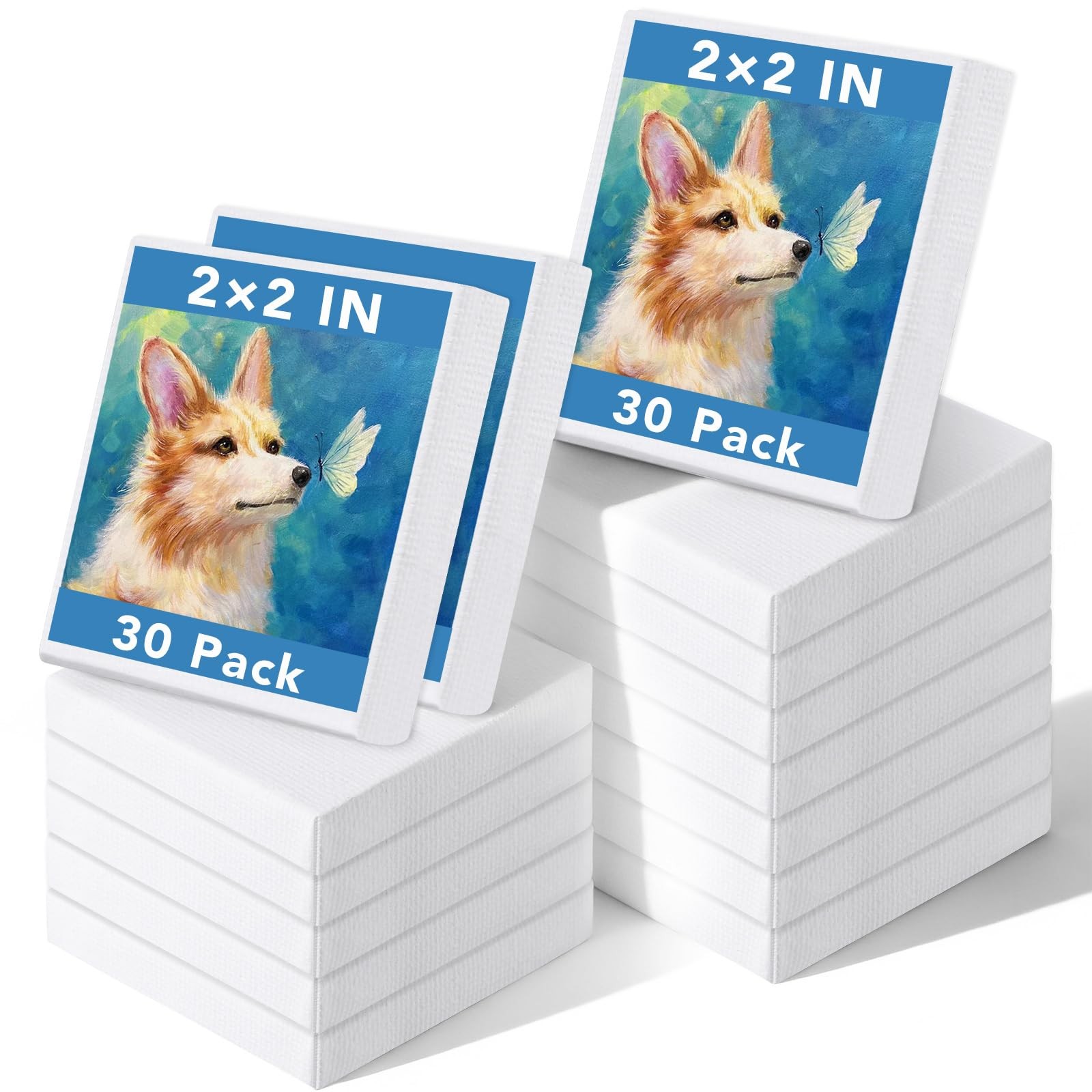 Prudiut 30 Pack Mini Painting Canvas, 2x2inch Small Mini, White