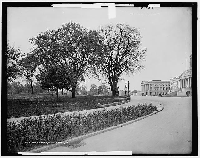 Photo:U.S. Capitol Washington D.C. 1880-1901