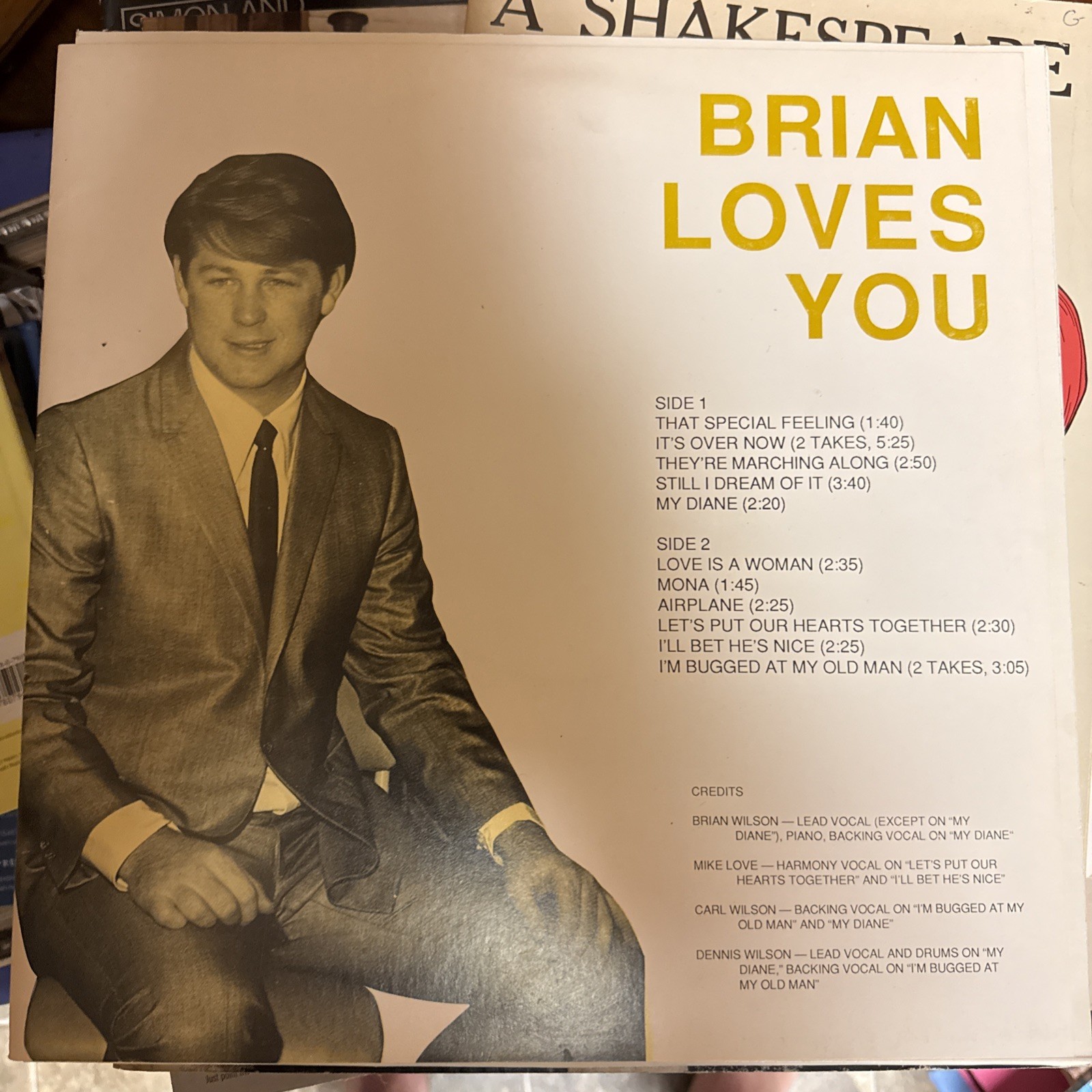 Brian Wilson -Brian Loves You - Vinyl LP 1987 - RT 4661 Brian Wilson -Brian Loves You - Vinyl LP 1987 - RT 4661