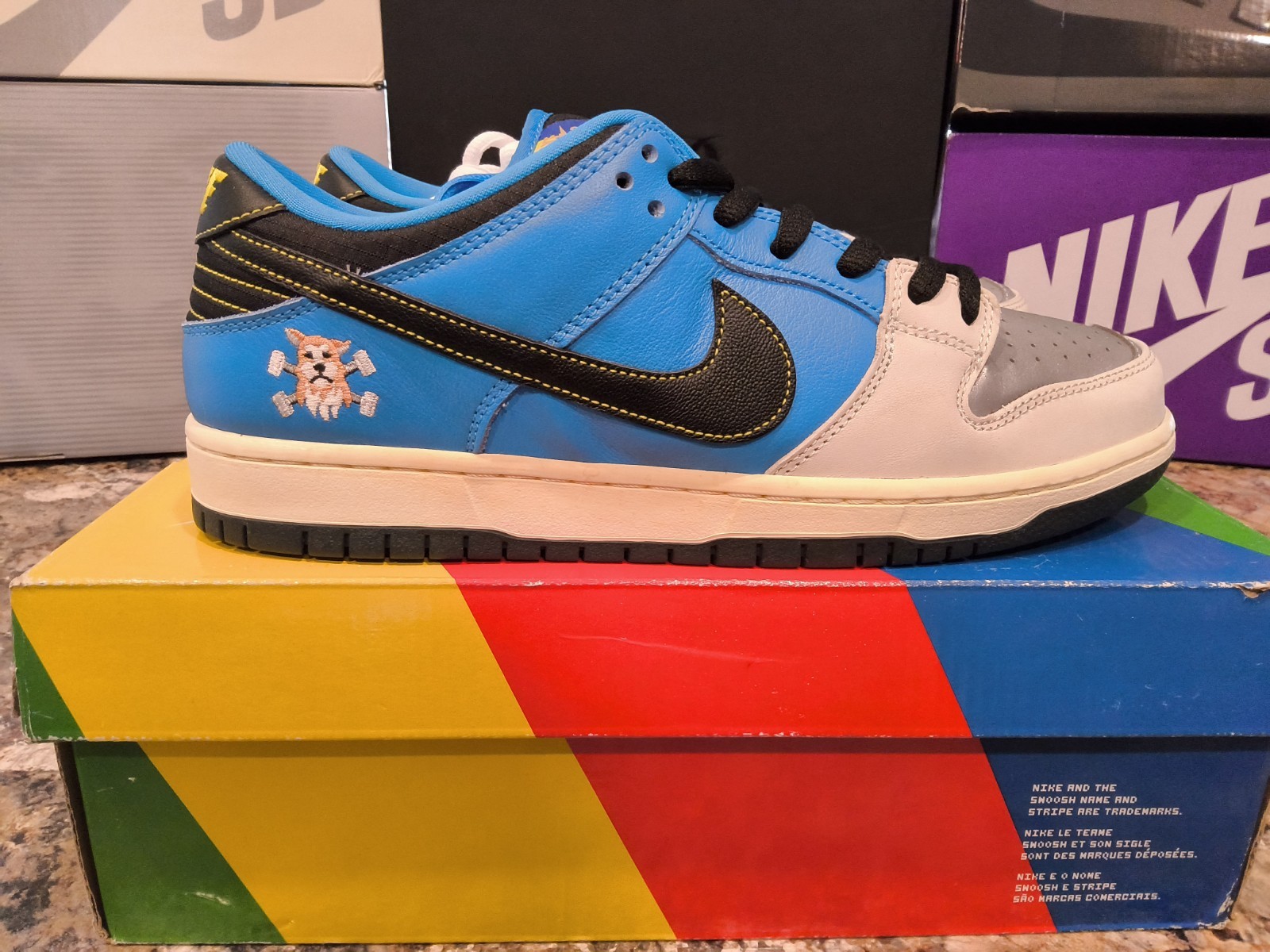 Size 10 - Instant Skateboards x Nike Dunk Pro SB QS Low Blue Size 10 - Instant Skateboards x Nike Dunk Pro SB QS Low Blue