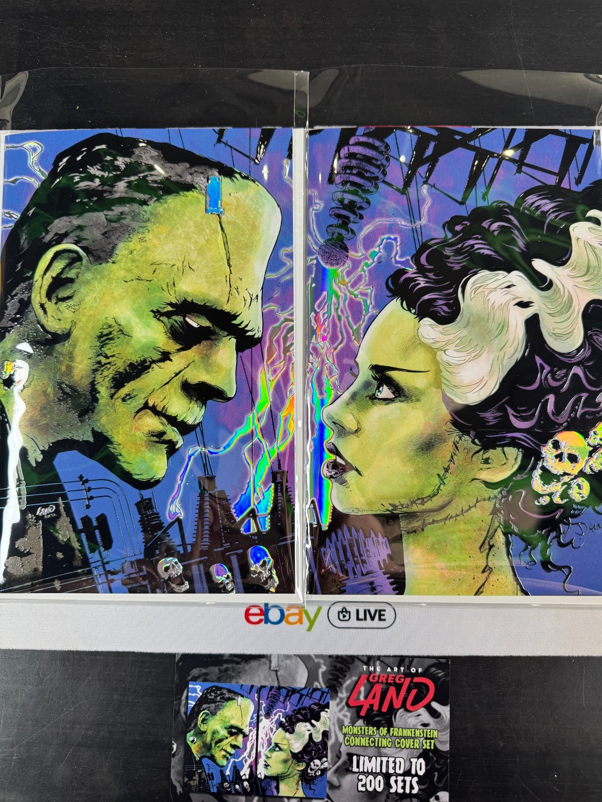 FRANKENSTEIN BRIDE OF FRANKENSTEIN EMBOSSED FOIL GREG LAND ARTBOOK SET LMTD 200