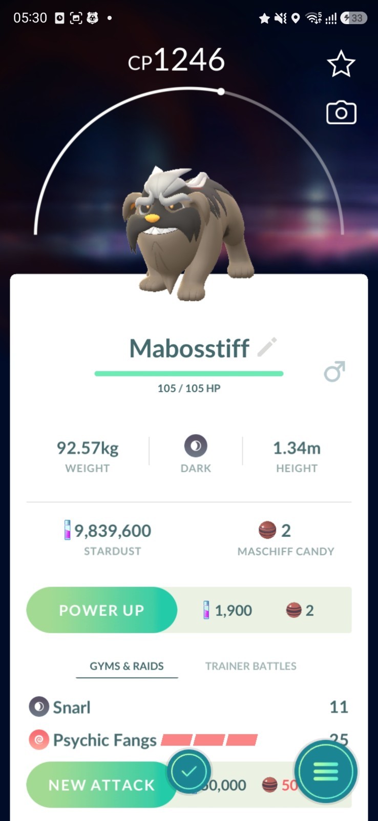 Mabosstiff ( Maschiff Evolution ) Pokémon Trade✨️ GO - Fast Same Day 