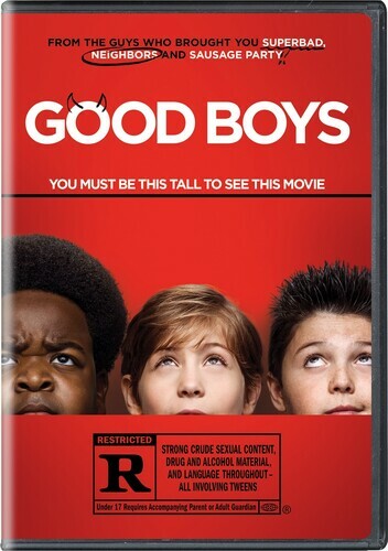 Good Boys (DVD, 2019) The Disc Only Rdbx Ge 516