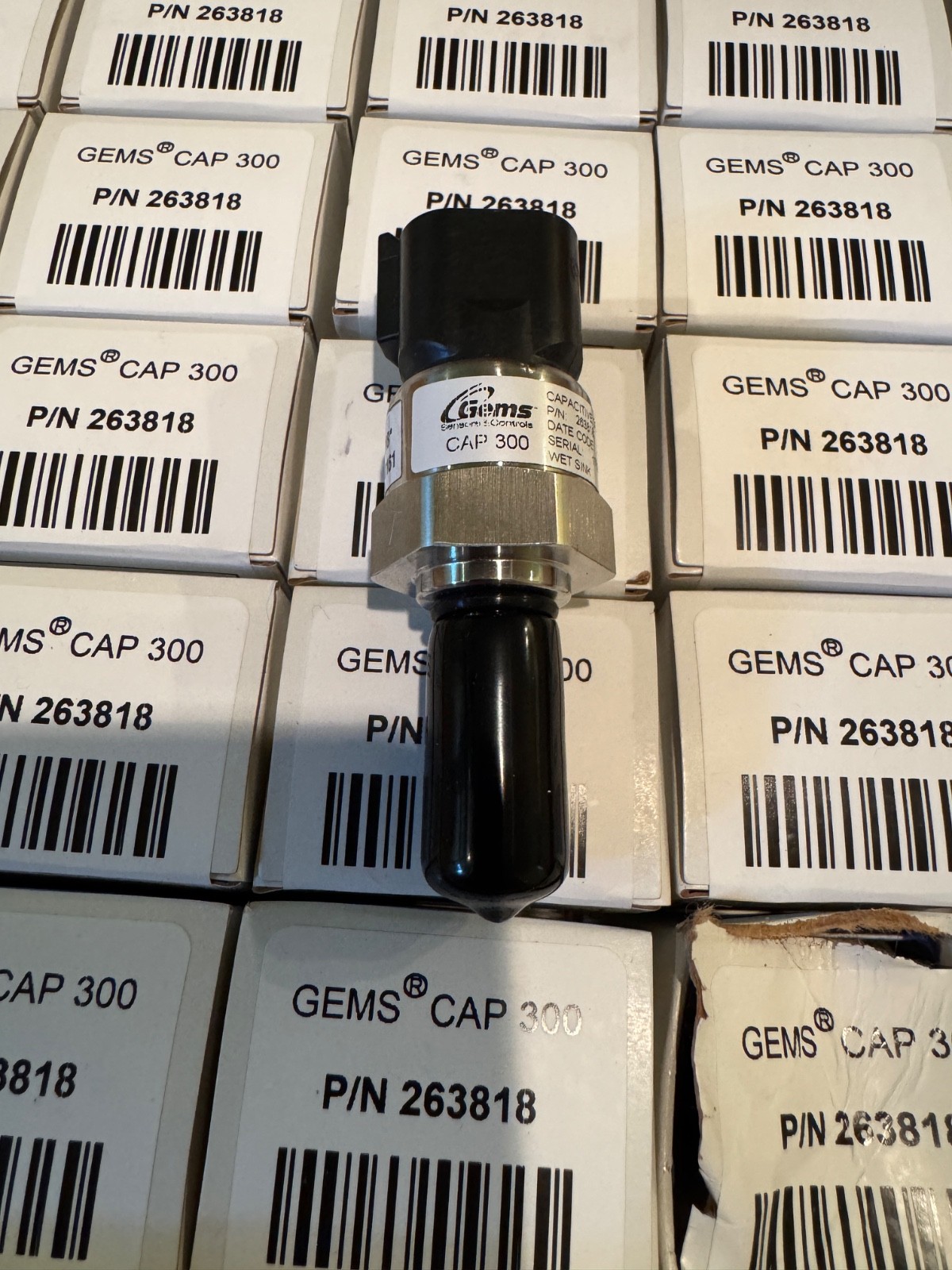 CAP-300 Series Gems Single Point Capacitance Level Sensor 263818 CAP-300 Series Gems Single Point Capacitance Level Sensor 263818