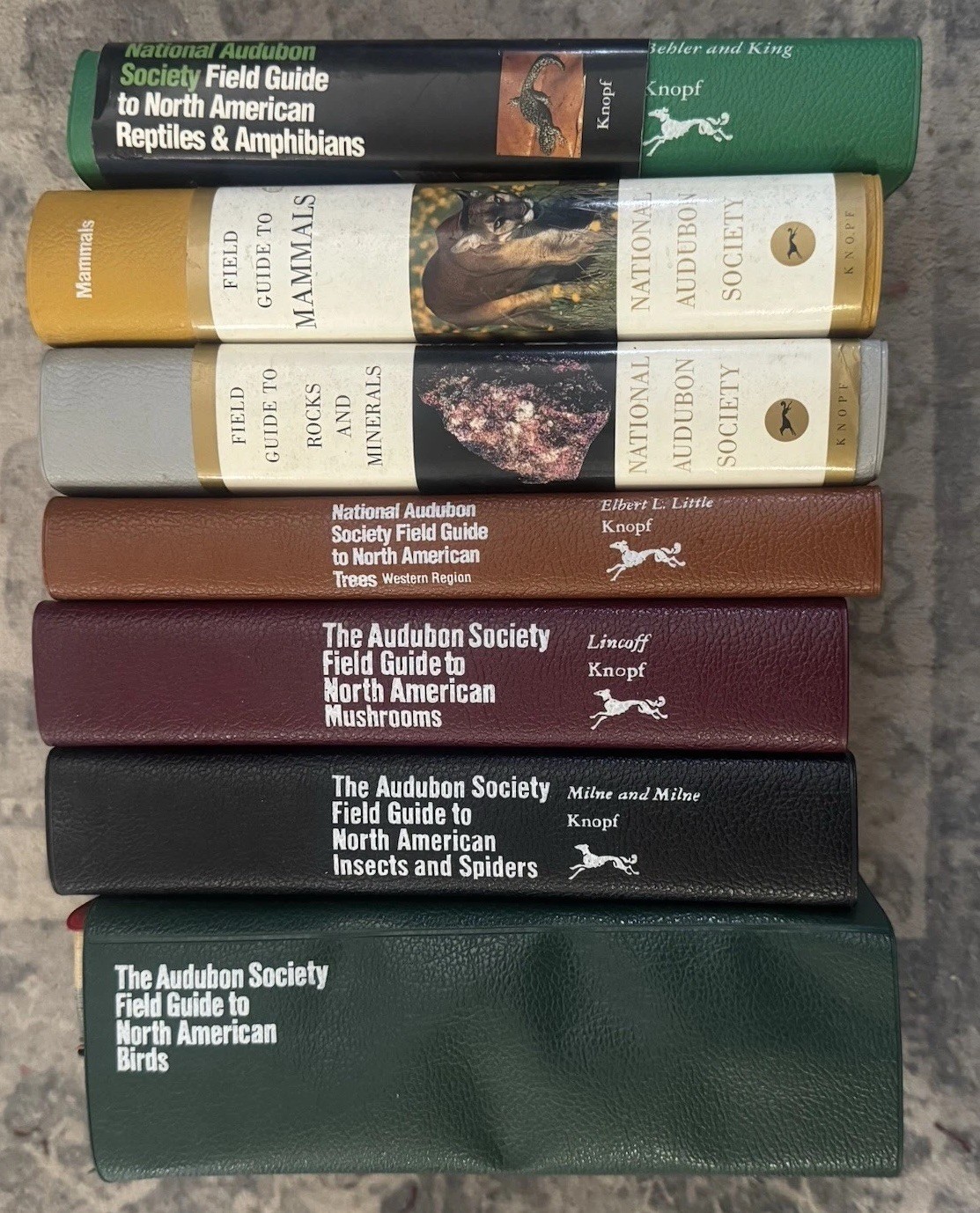 NATIONAL AUDUBON SOCIETY Field Guide Book Lot Birds Spiders Mushrooms Trees Rock