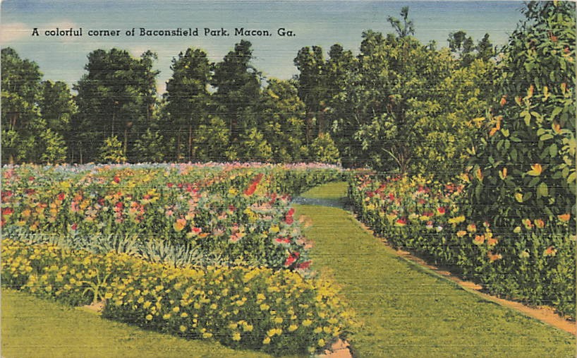Postcard GA: Baconsfield Park Garden Path, Macon, Georgia Linen