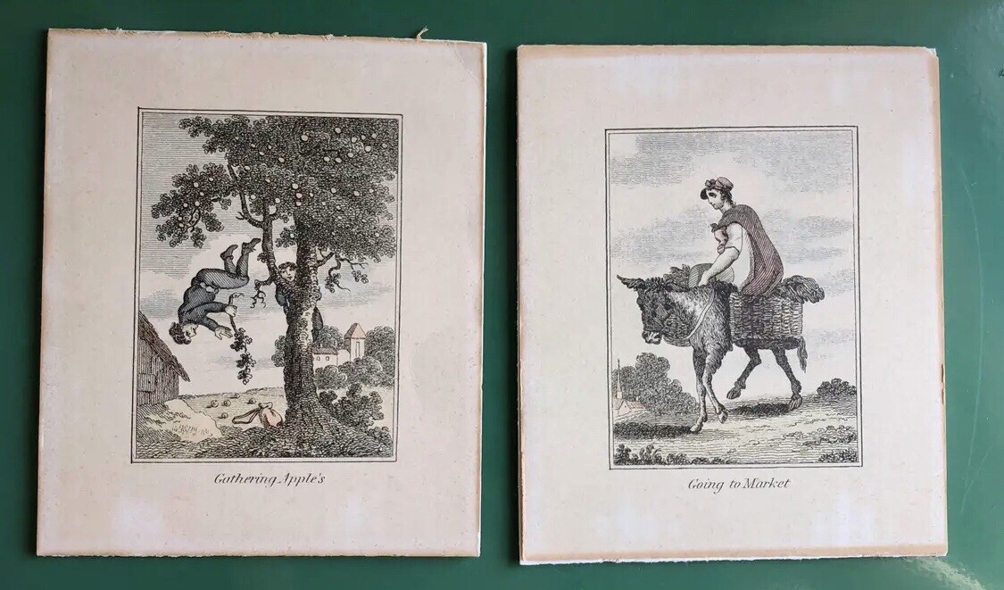 Antique Etchings Pair of Provincial Farm and Family Life 6” X 4.75” Humorous Antique Etchings Pair of Provincial Farm and Family Life 6” X 4.75” Humorous