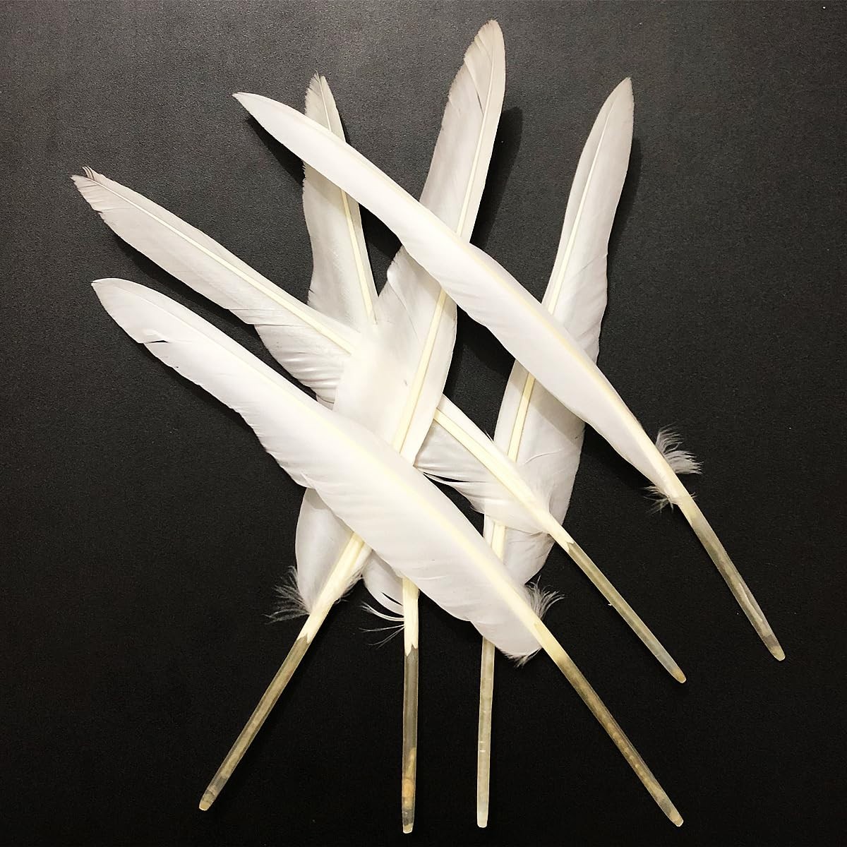 White Feathers 10-12in,30PCS Natural Long Goose Feather,Bulk Left and Right Wing White Feathers 10-12in,30PCS Natural Long Goose Feather,Bulk Left and Right Wing