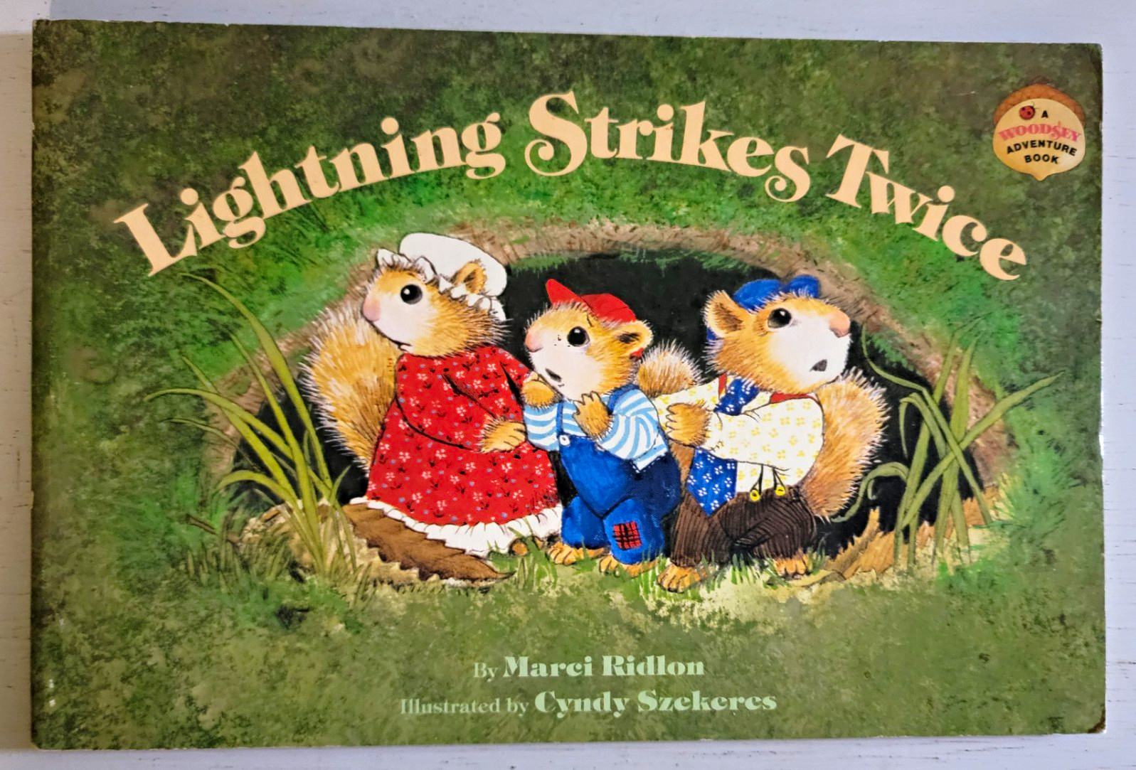 Vintage 1979 Lightning Strikes Twice Woodsey Adventure Book Series Fisher-Price Vintage 1979 Lightning Strikes Twice Woodsey Adventure Book Series Fisher-Price