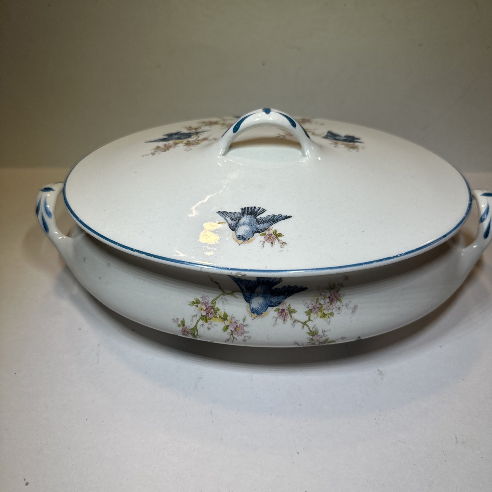 Vintage Bluebird Bird China Oval Covered Vegtable Dish Homer Laughlin Vintage Bluebird Bird China Oval Covered Vegtable Dish Homer Laughlin