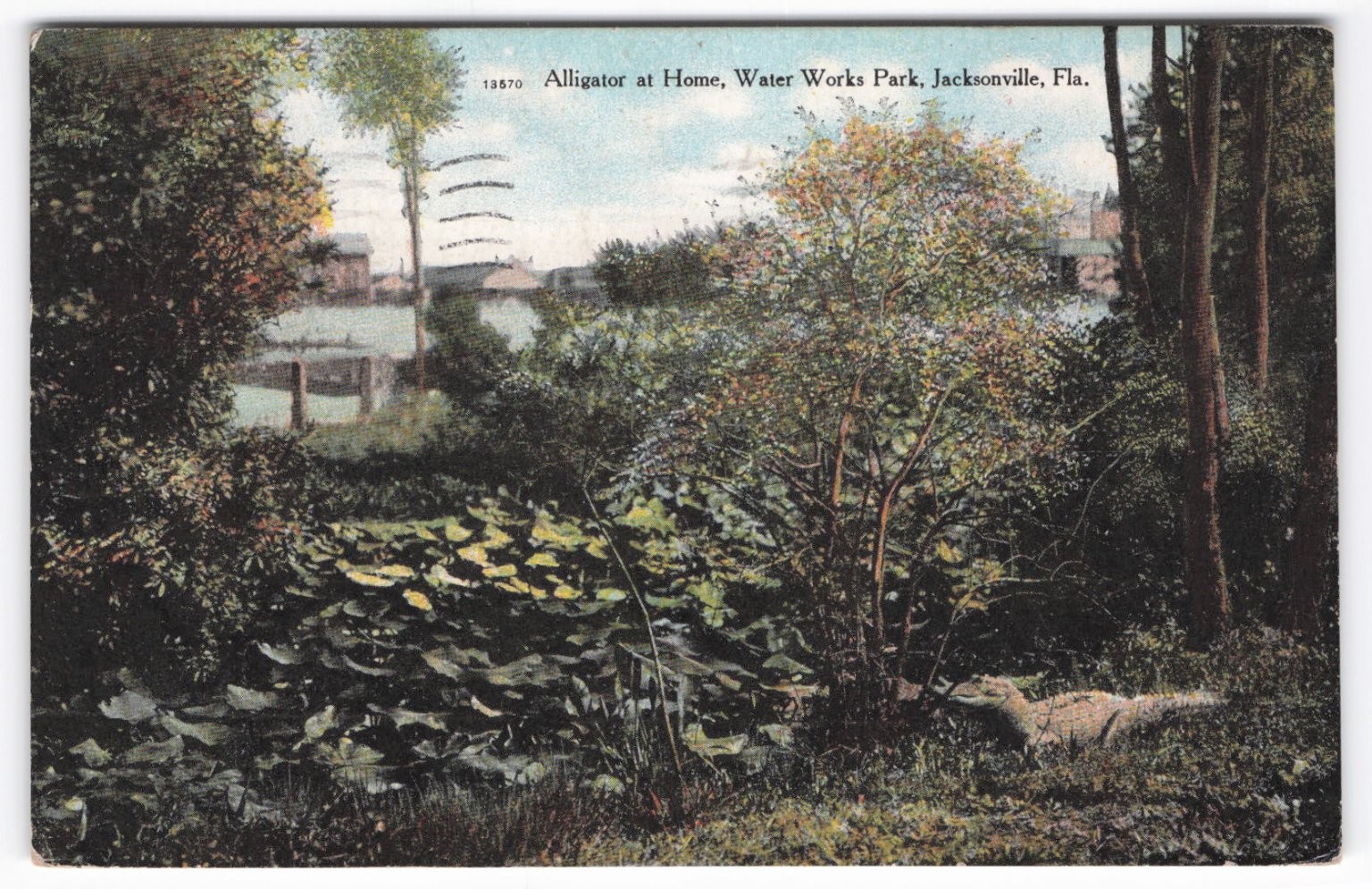 1910 Jacksonville Florida Alligator Water Works Park Vintage Postcard