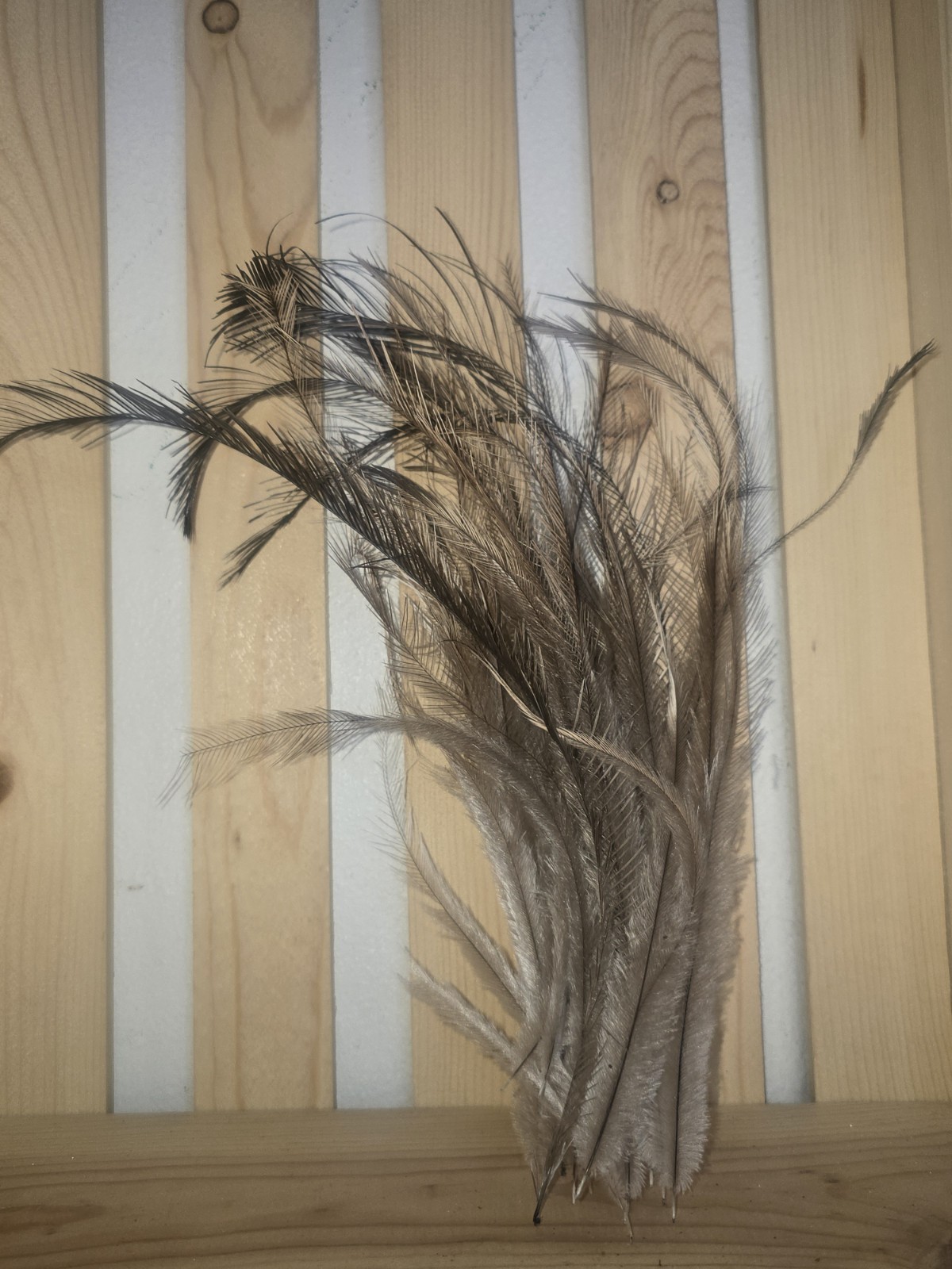 200 Emu Feathers Double Plumed Craft Projects Beautiful Decor Different Sizes 🪶 200 Emu Feathers Double Plumed Craft Projects Beautiful Decor Different Sizes 🪶