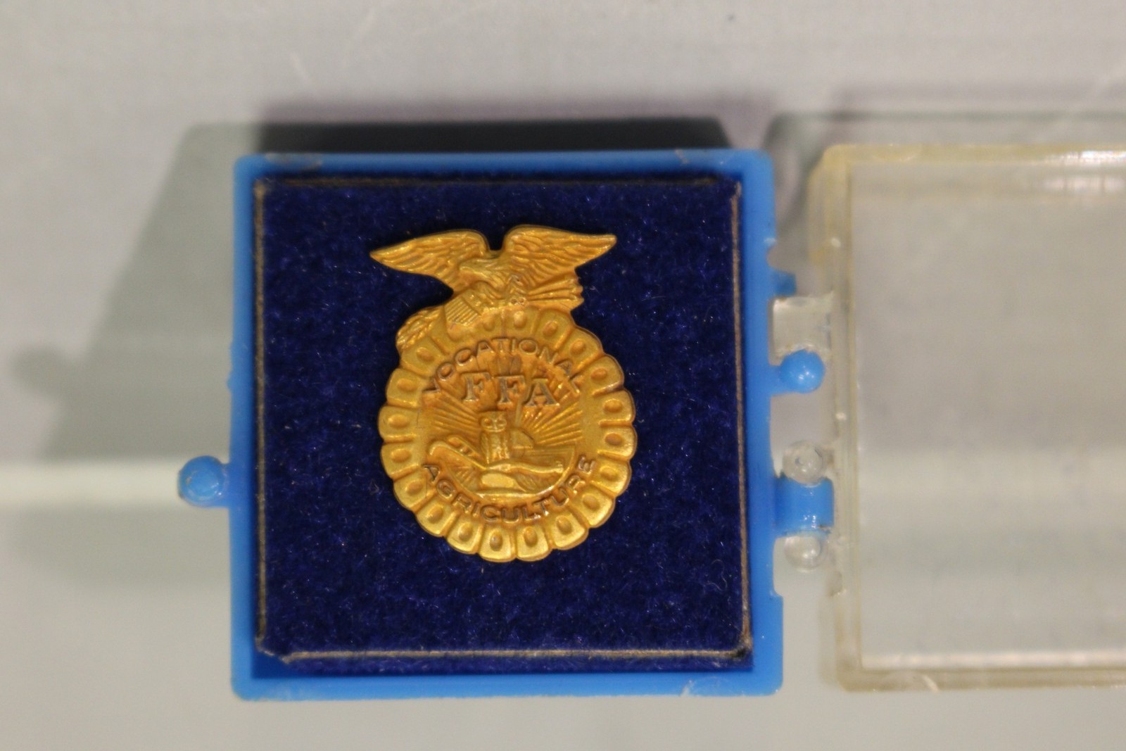 Future Farmers of America (FFA) Lapel Pin - Used (#2)