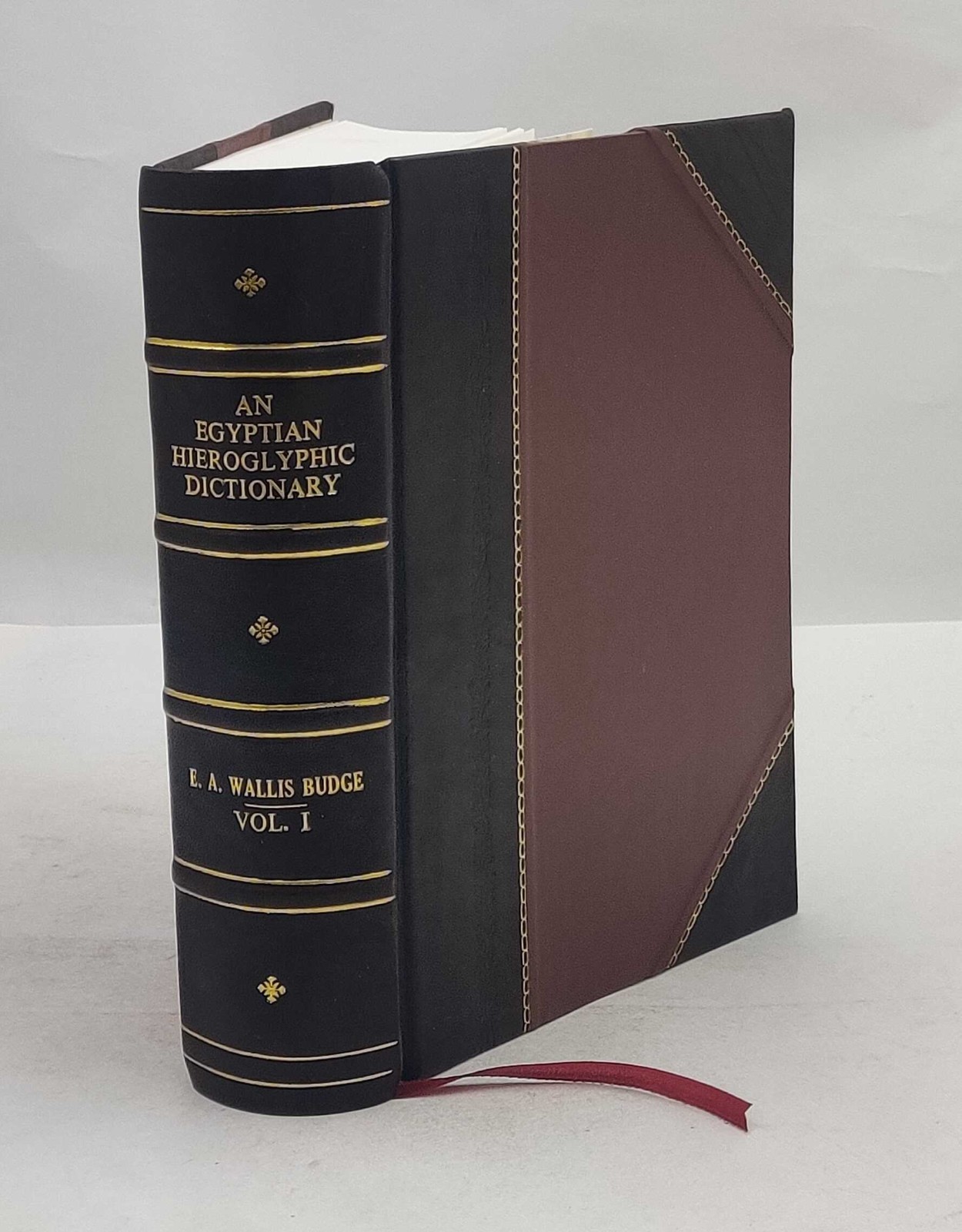 An Egyptian hieroglyphic dictionary with an index of English w [Leather Crafted]