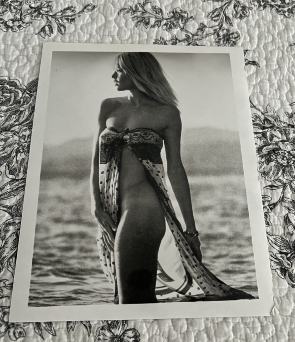 Brigitte Bardot 1960\'s Voluptuous Busty Starlet Vintage Doubleweight 8x10 photo