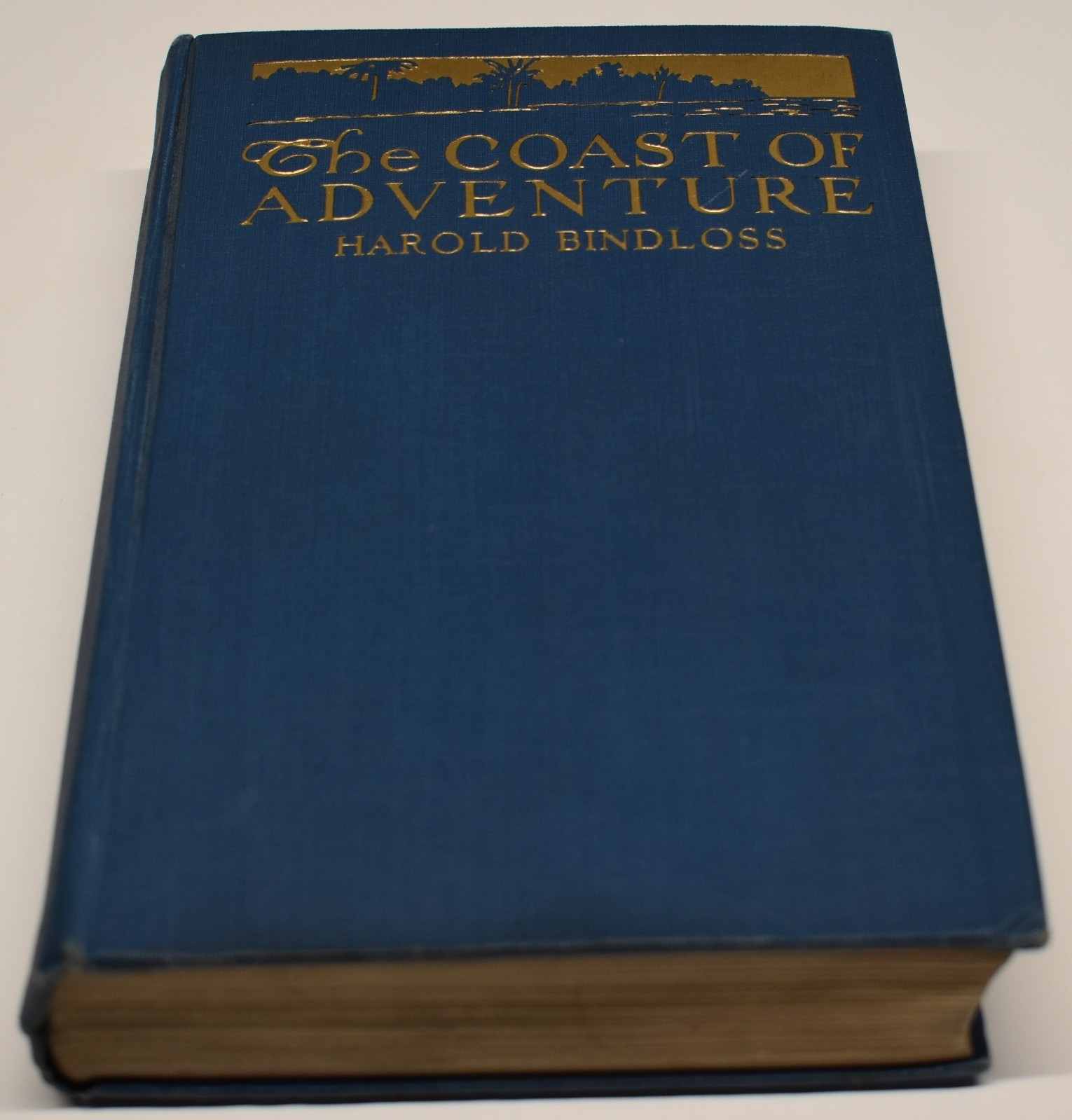 1915 THE COAST OF ADVENTURE hc book HAROLD BINDLOSS alt title A Risky Game 1915 THE COAST OF ADVENTURE hc book HAROLD BINDLOSS alt title A Risky Game