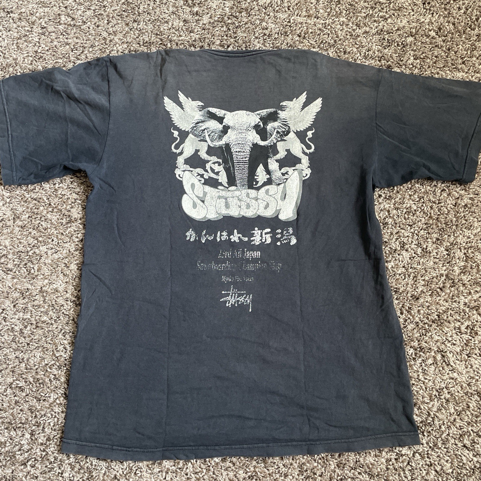 Vintage y2k SUPER RARE 2005 Japan snowboarding Championship Stussy tshirt