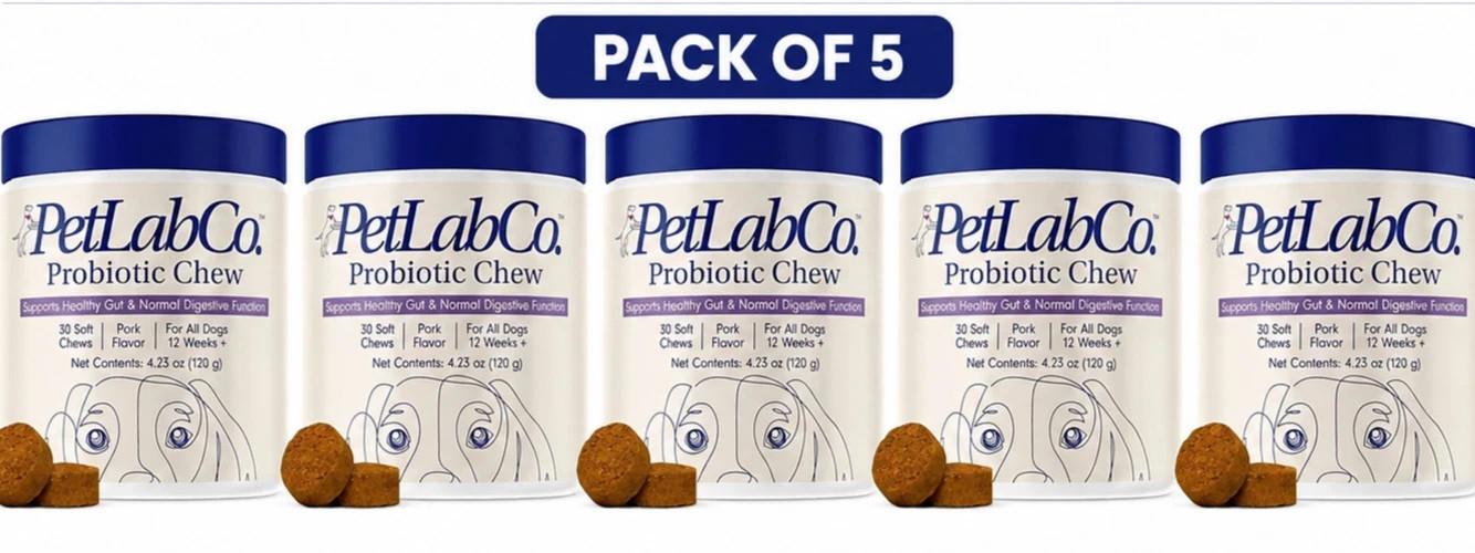 5 Pack (PetLabCo.) Supports Healthy Gut & Normal Digestive Probiotic Chew 5 Pack (PetLabCo.) Supports Healthy Gut & Normal Digestive Probiotic Chew