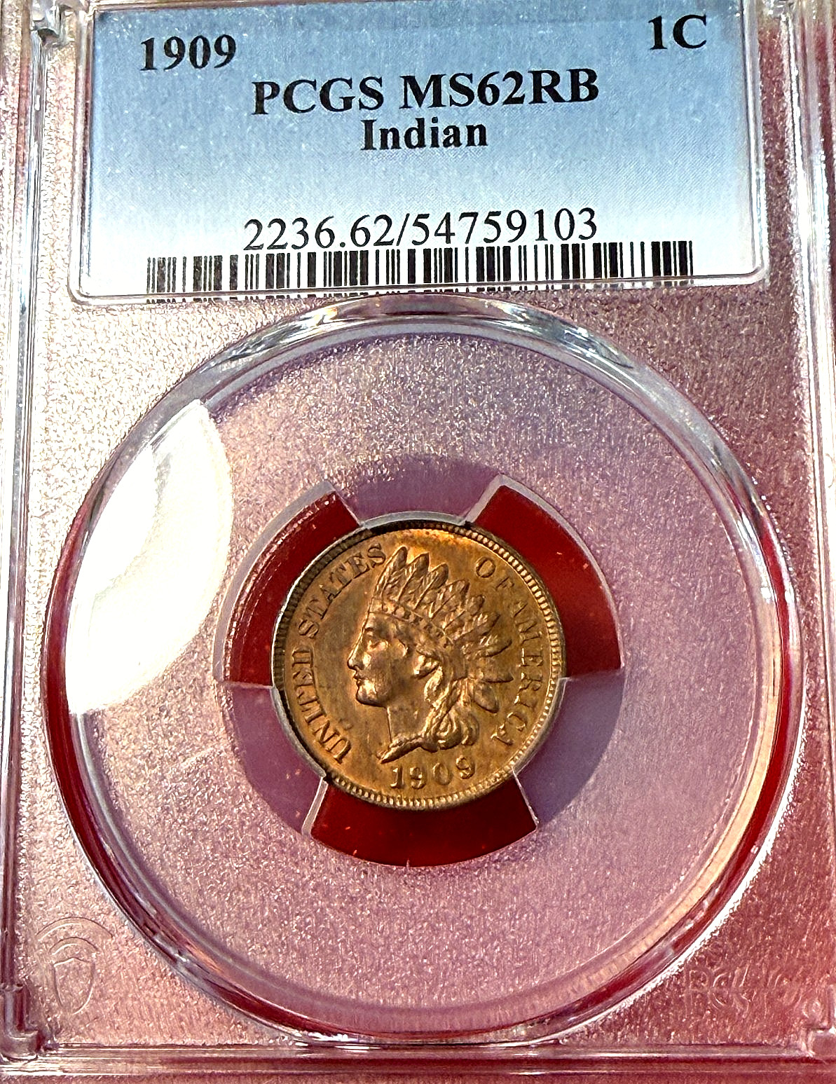 1909 Indian Cent PCGS MS62RB Nice, New Slab Best Price Ebay* CHRC